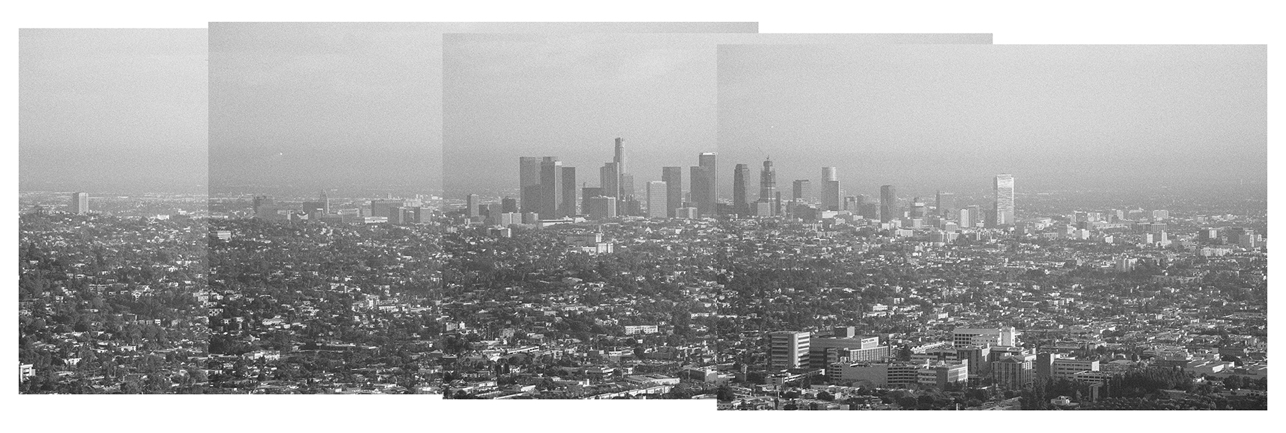 Los Angeles | Nikon F5 Tamron 150-600 | Cameron Kline