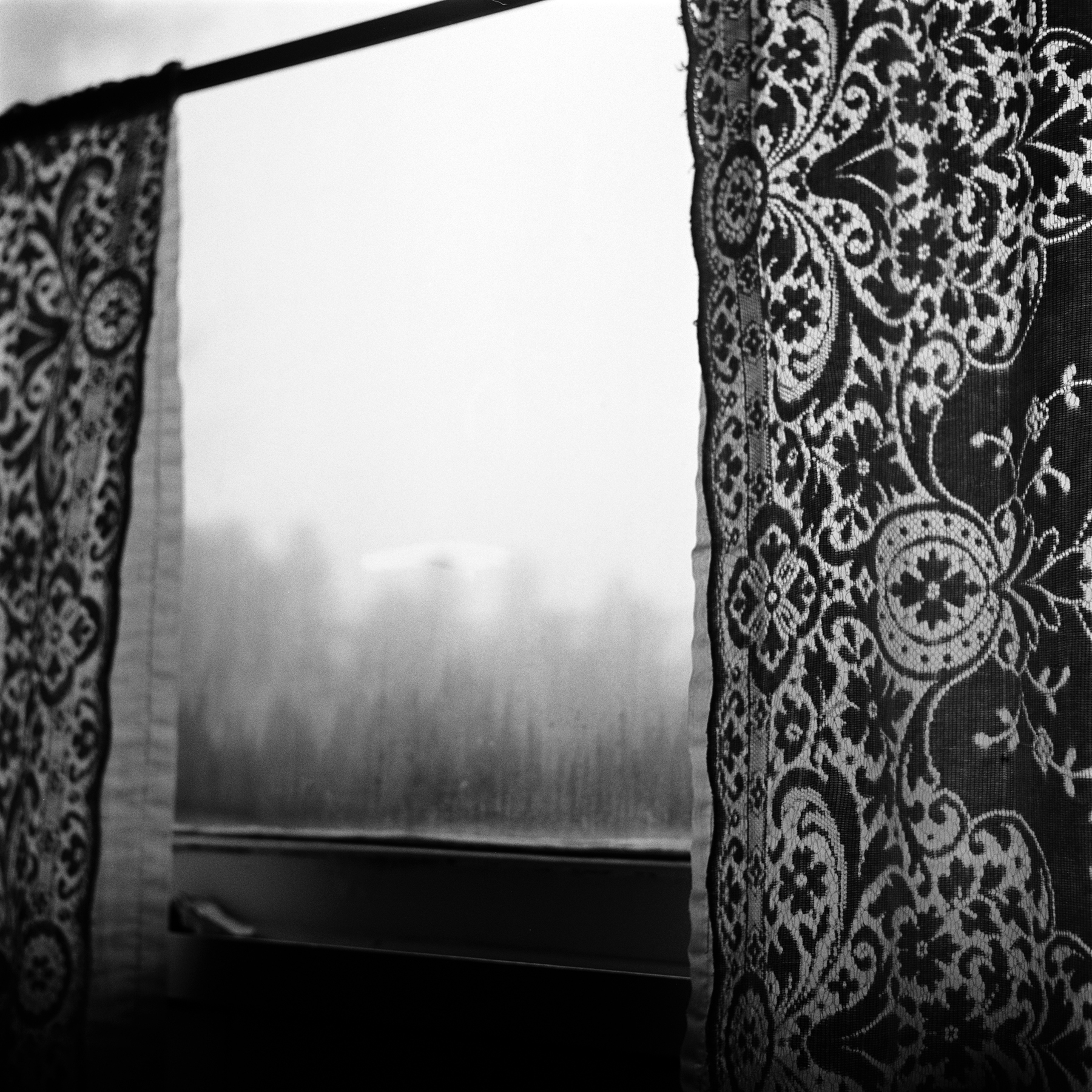 The Window | Rolleiflex 3.5 | Sarah Taft