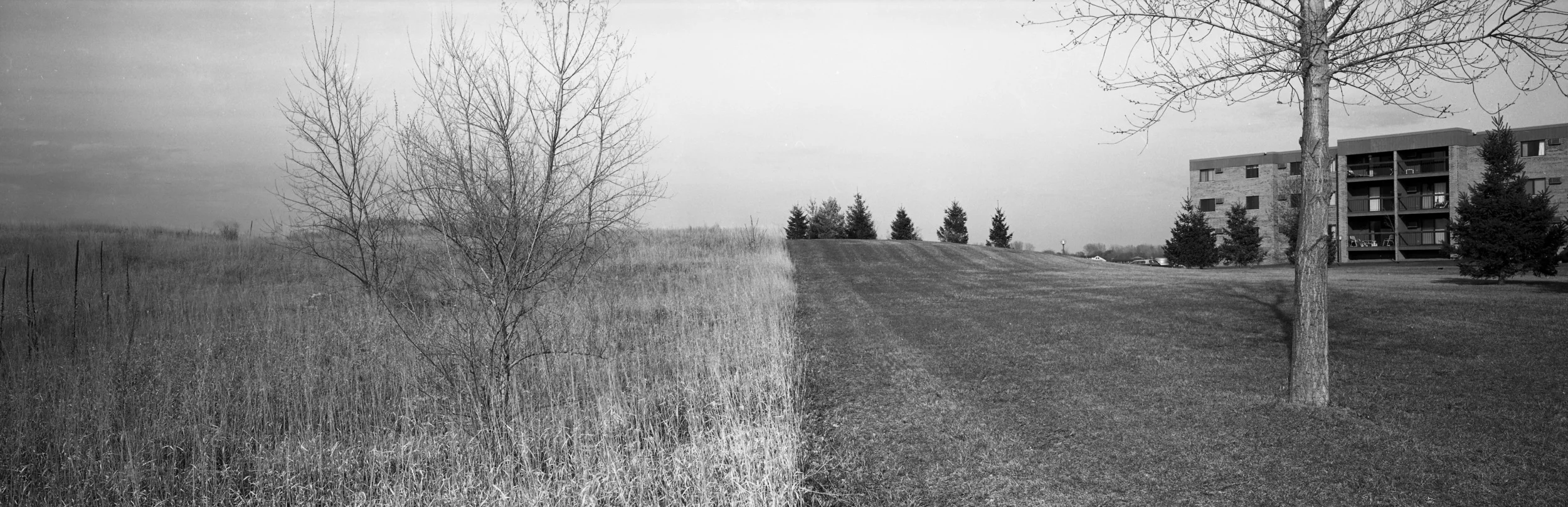 Chris Faust