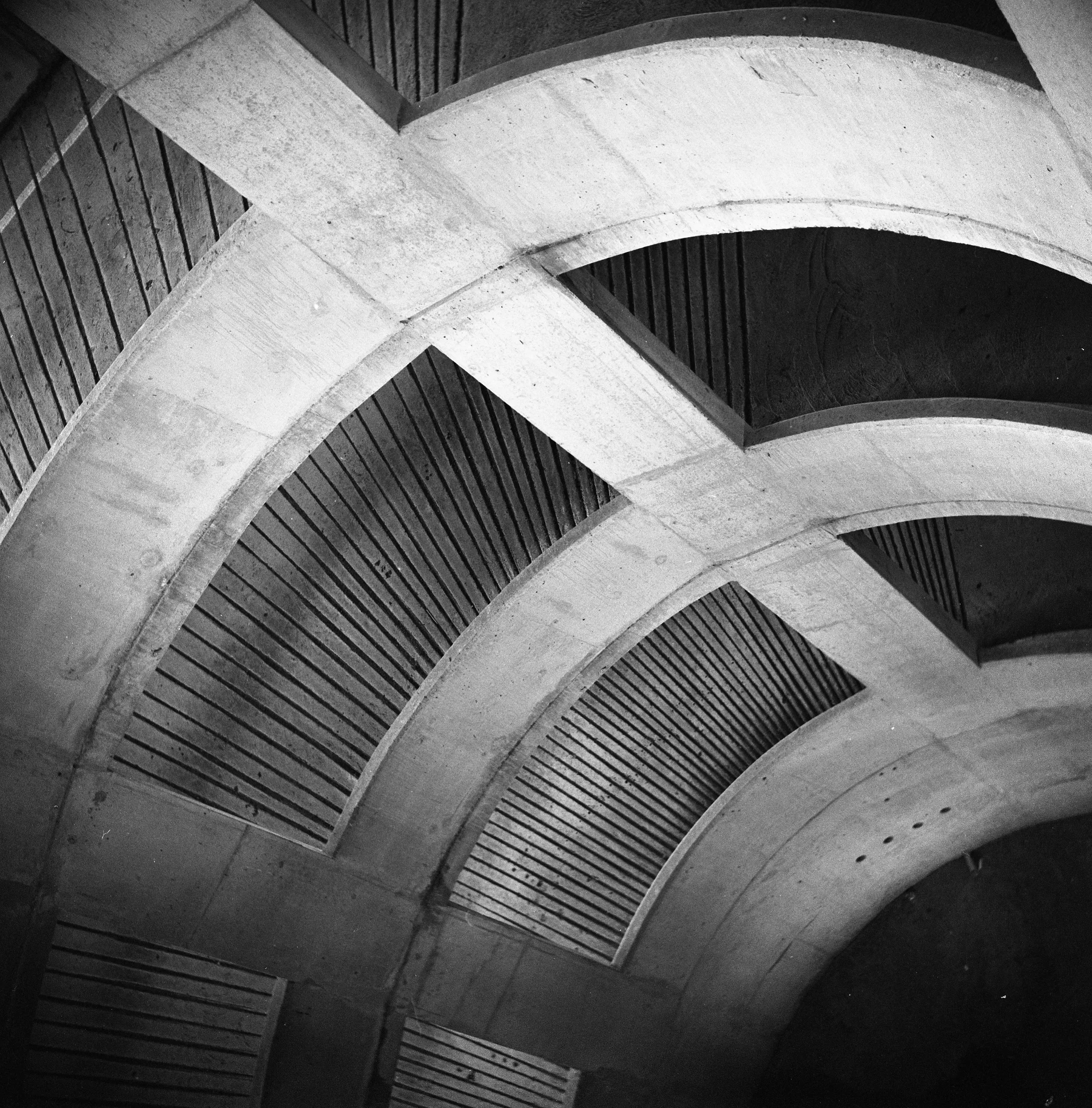 Neal Thorley | Spiral Down| rolleiflex| zeiss tessar