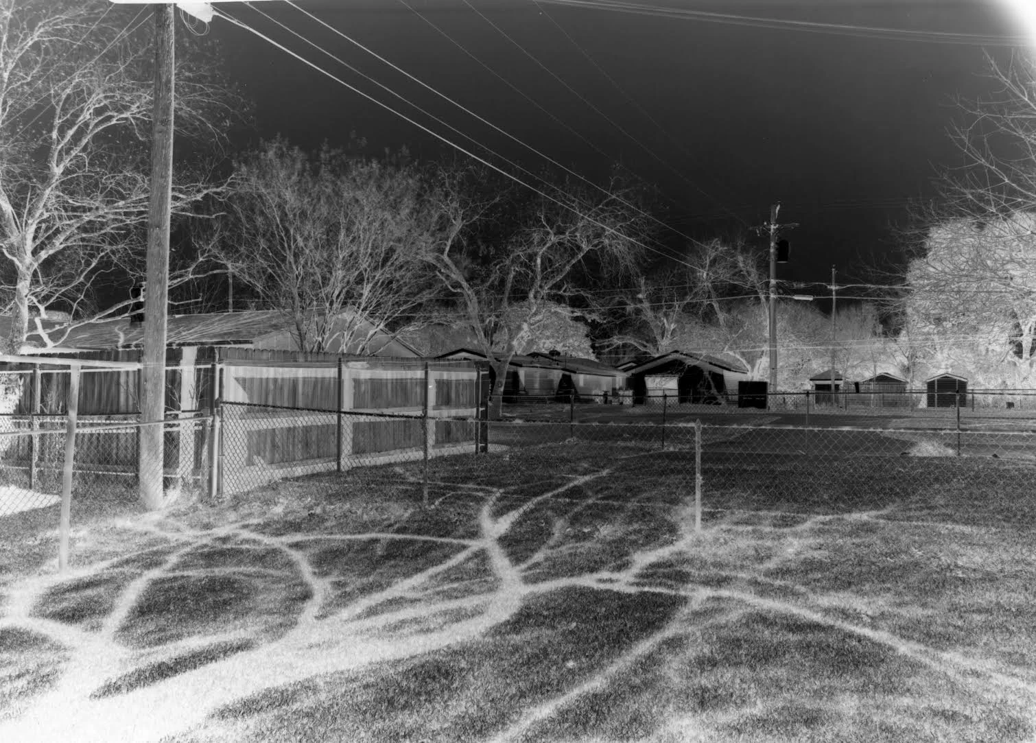 Paper Negatives | James Jasek