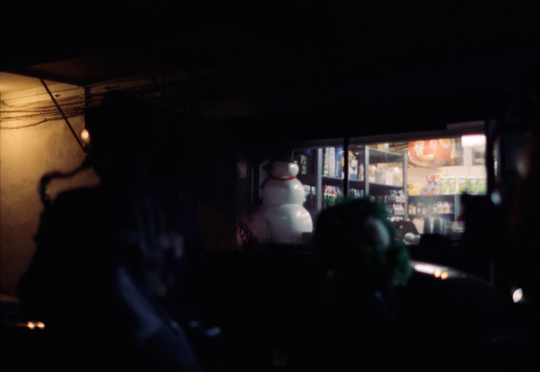 snowman and shop window  sm (1 of 1).jpg