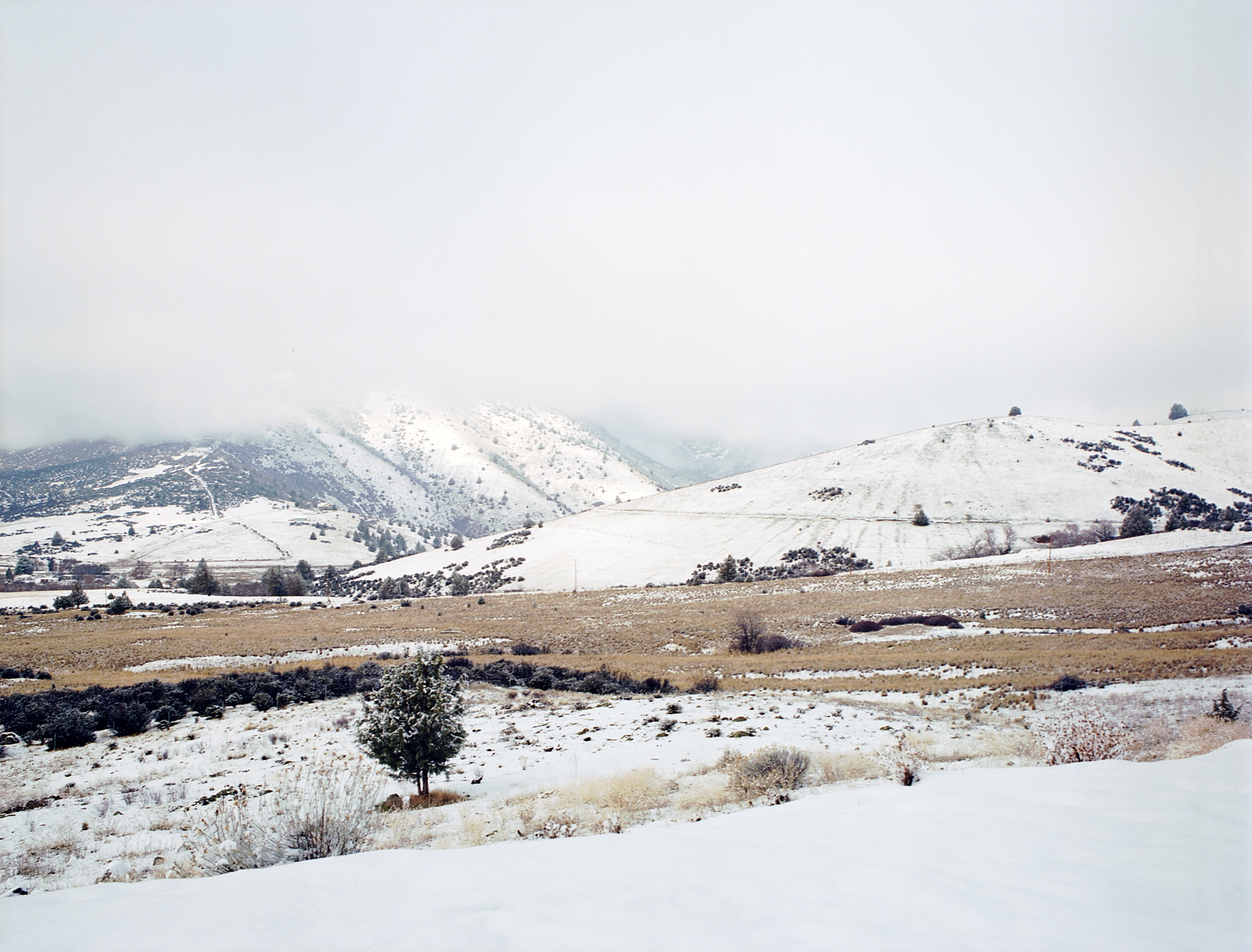 Snowy California | Bronica ETRSI Kodak Ektar | Colton Allen
