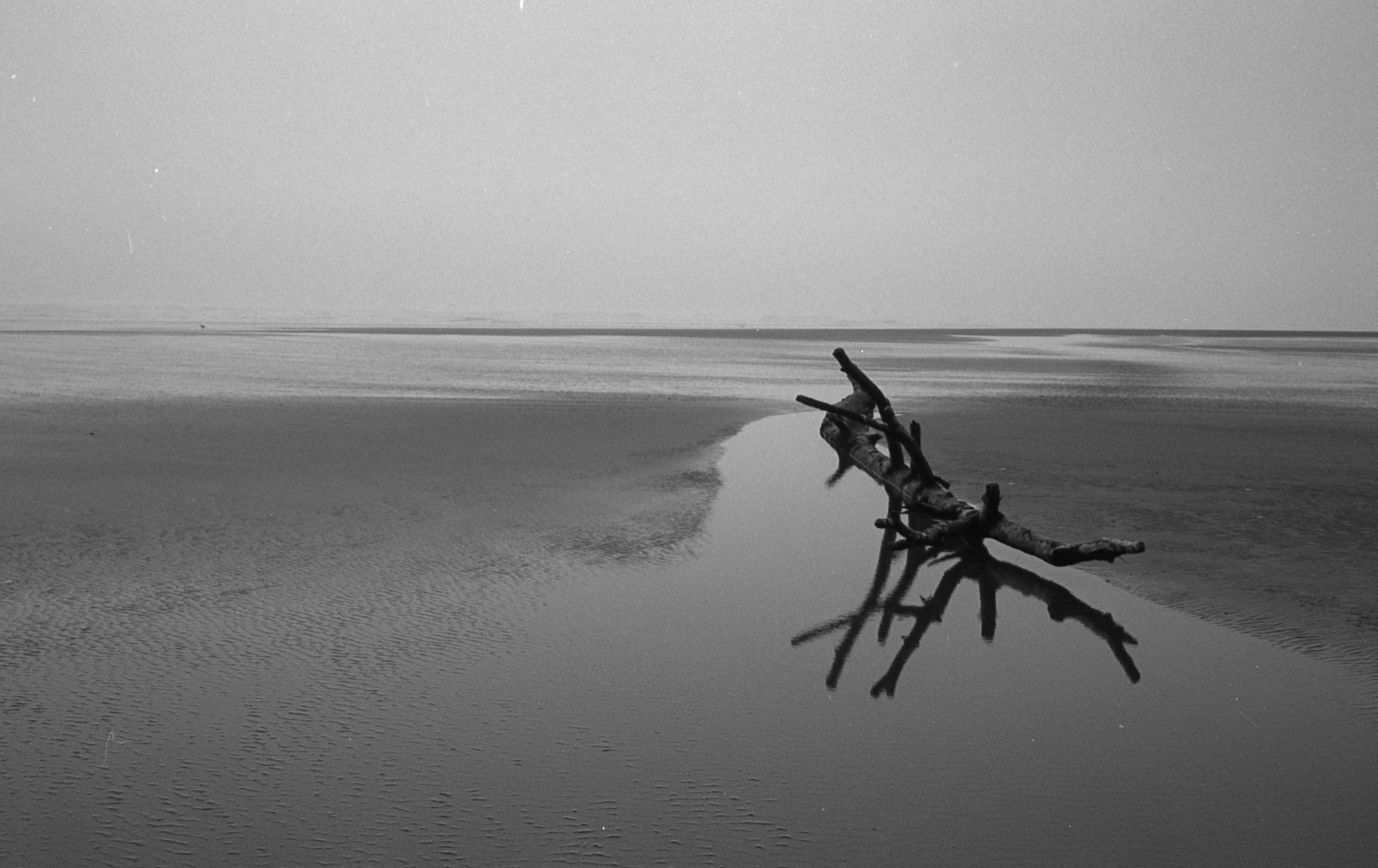 Morning Peace | Canonet QL17 2 TriX400 | HW Kateley