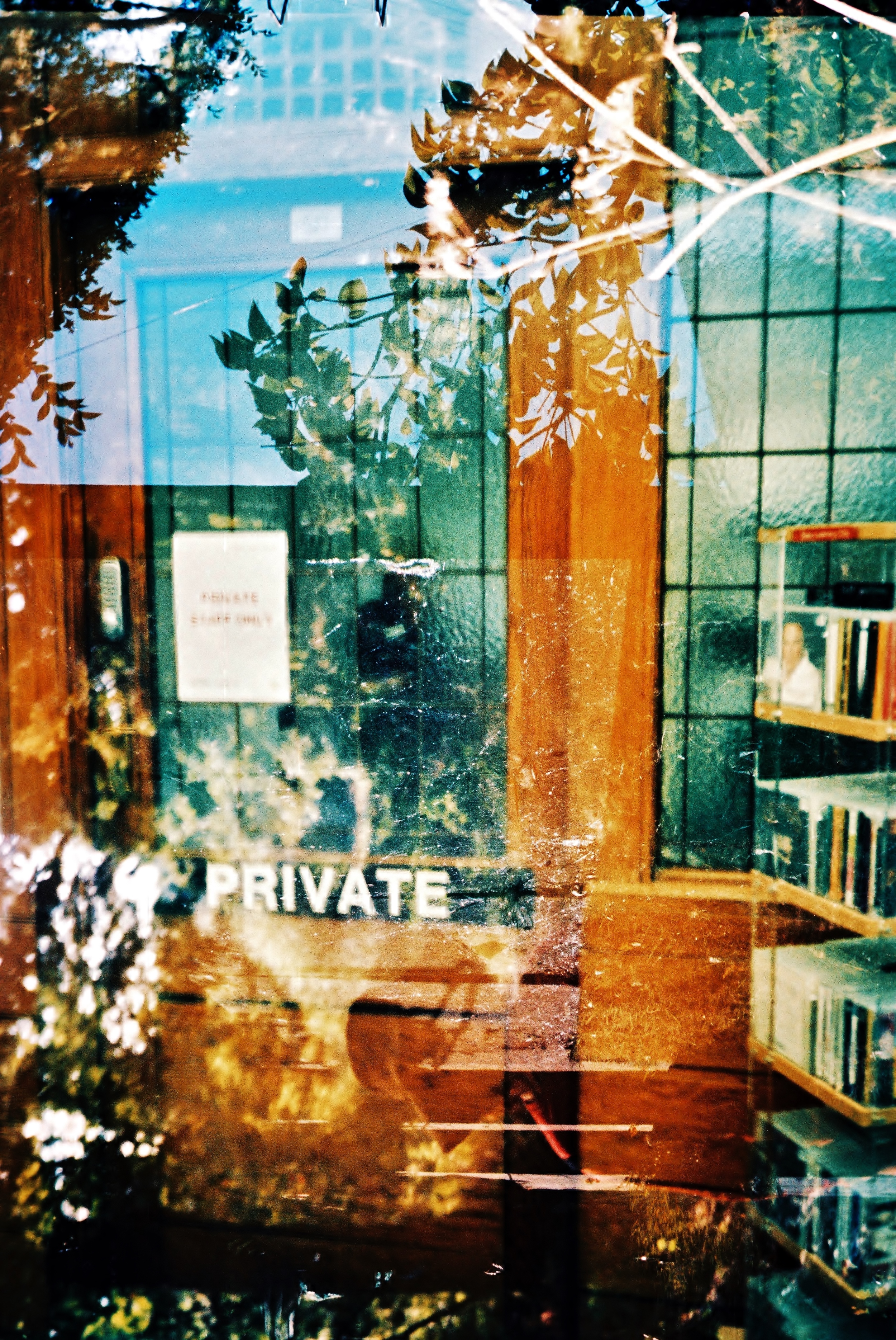 Hidden Intentions | Olympus XA4 | Lucy Wainwright