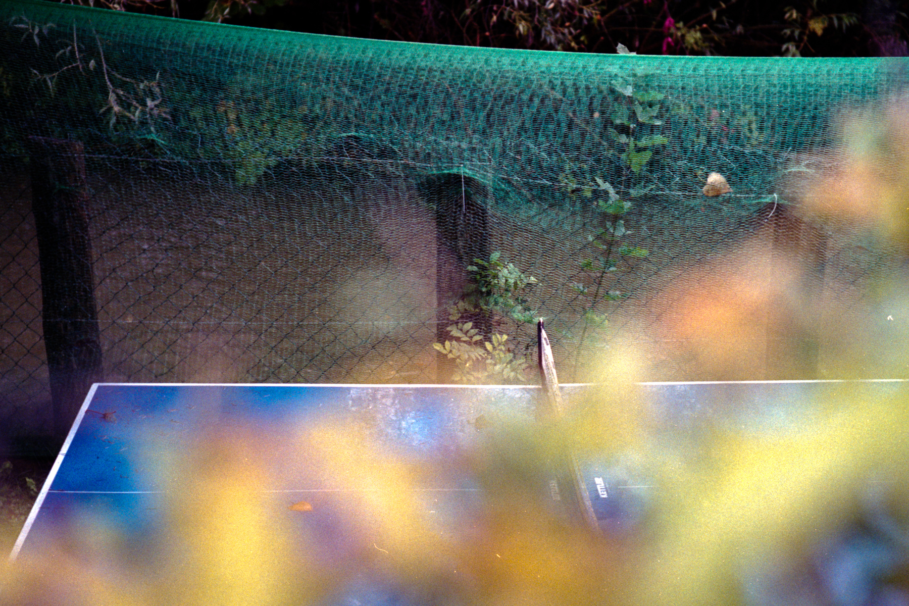 Gabor Dobrocsi | Blue Table | Leica M2 | Zeiss Sonnar 50mm