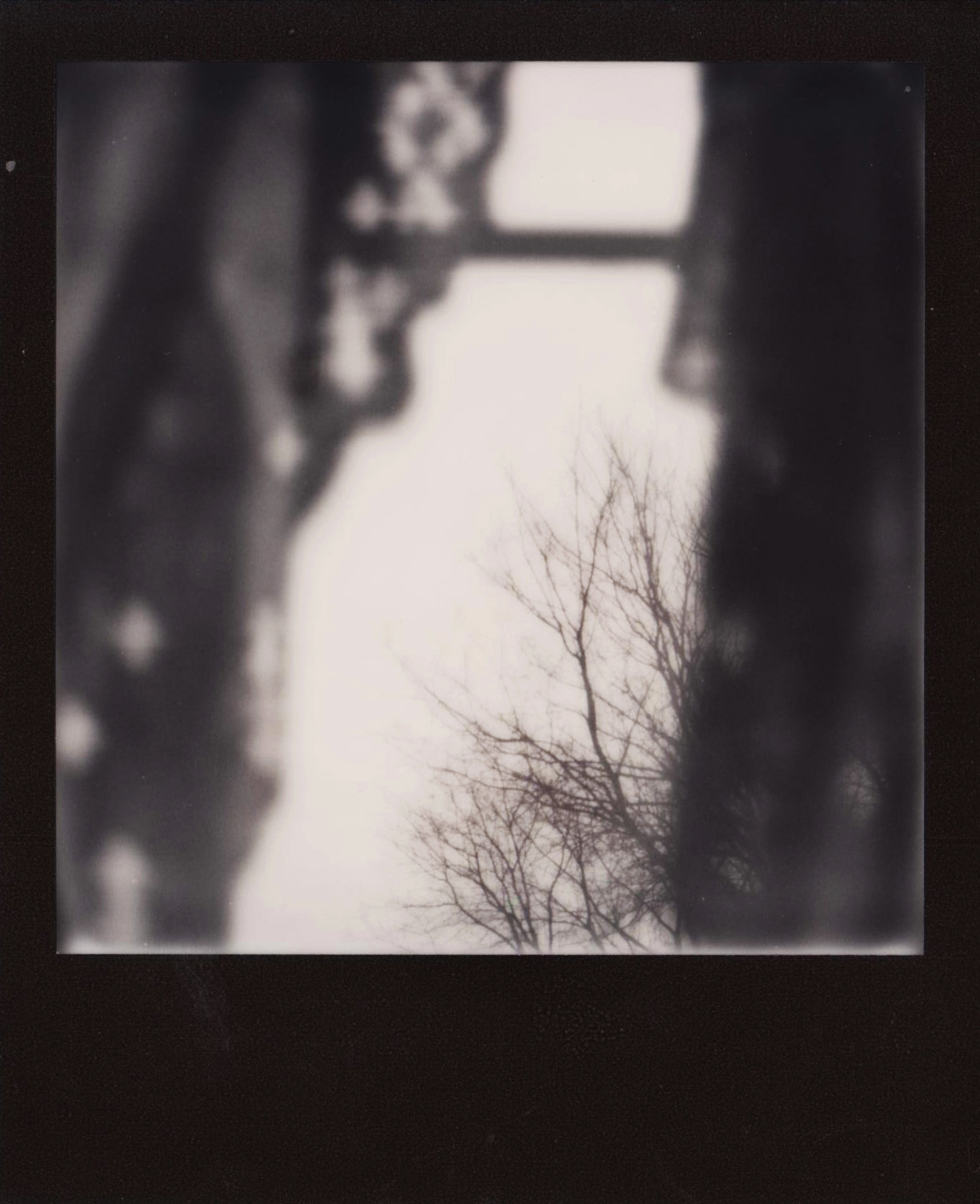  Abigail Crone |&nbsp;Winter Feeling |&nbsp;SX70 |&nbsp;Impossible Project Black and White 