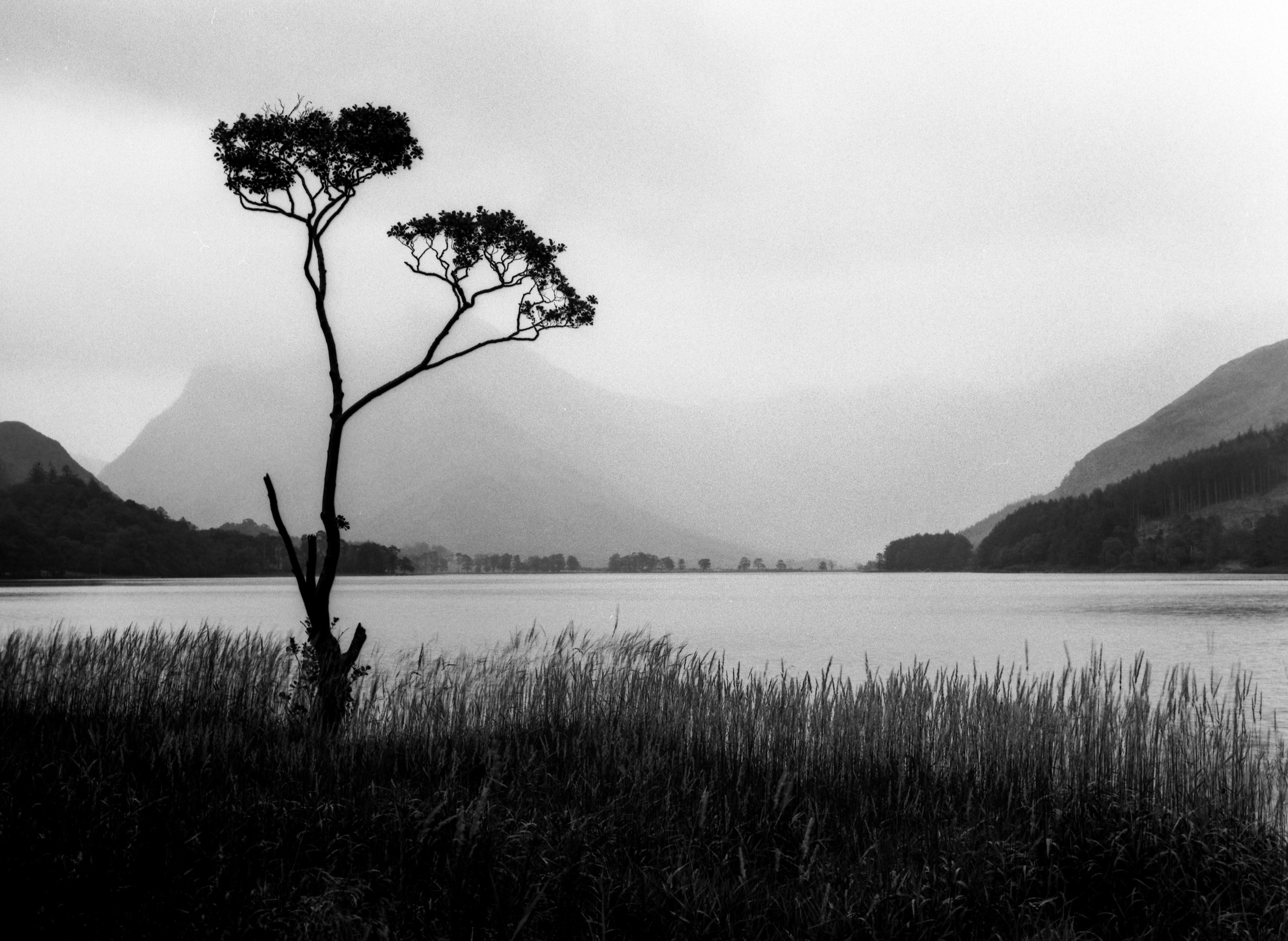 Mamiya 645 Pro TL, 80mm, Delta 100. I had Velvia and Delta loaded at the same time but the only image I had for this shot was a strong silhouette against the mountains behind. With the rain softening the edges of the mountains it had a sense of mystery to me that colour wouldn’t have had.