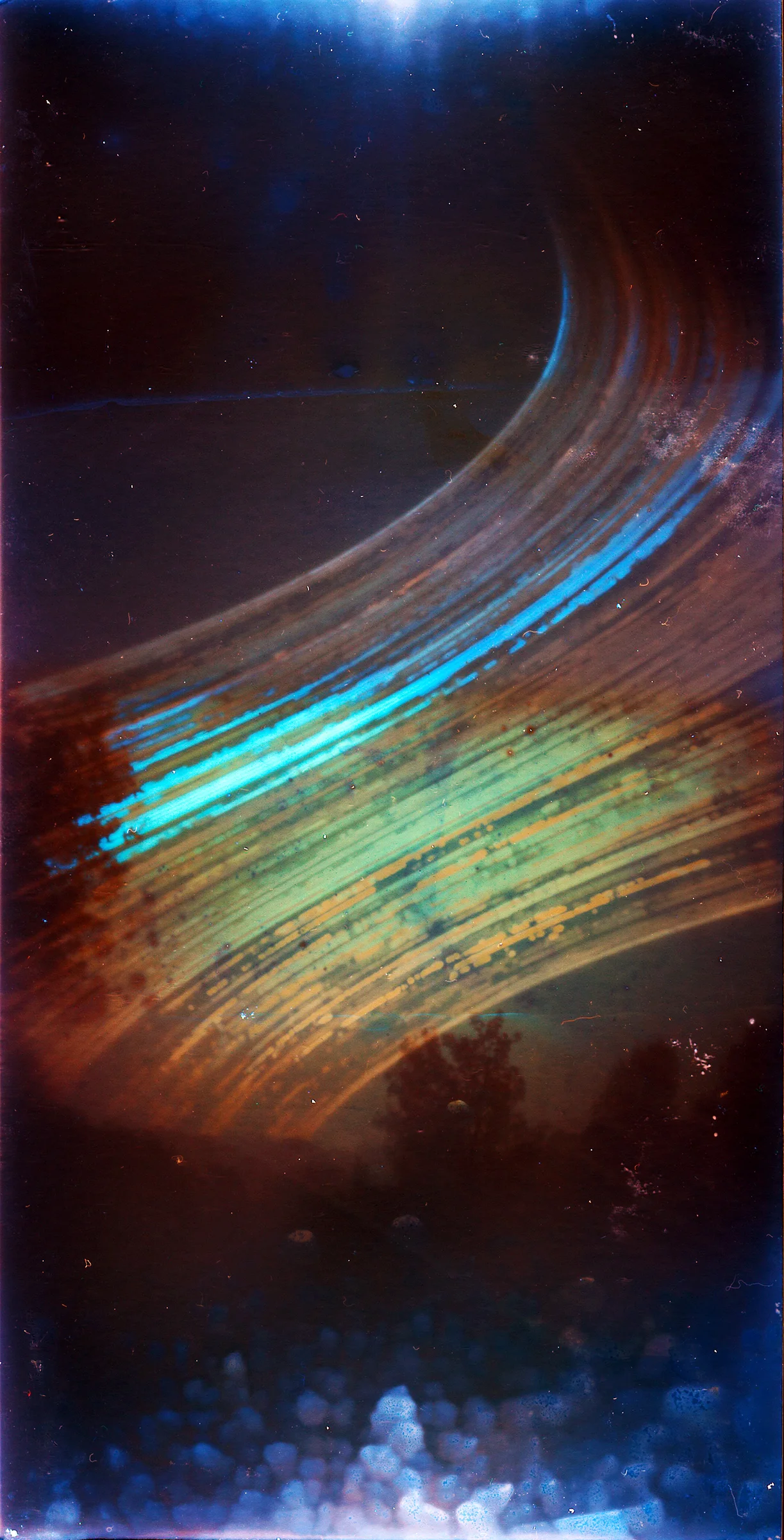 Trees - Santianes, Asturias, Spain - Aug 4th 2013 to Sept 7th 2014 (just over thirteen months!!) - Ilford MGIV RC Deluxe Pearl in a drink can pinhole camera