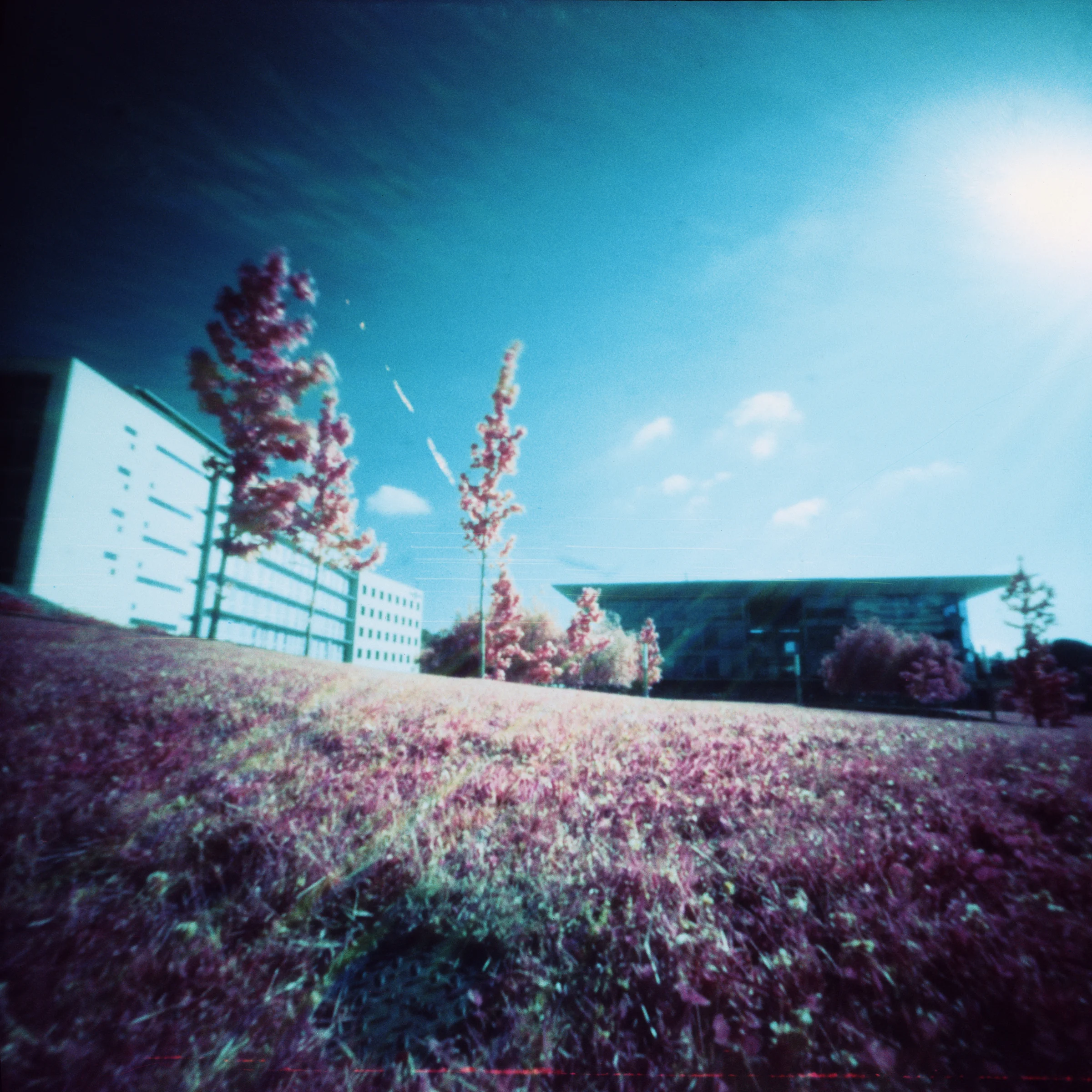 Nexus II Building - Barcelona, Spain - Kodak Aerochrome 120 400 ASA in a hacked Digna Certex 6x6 pinhole camera