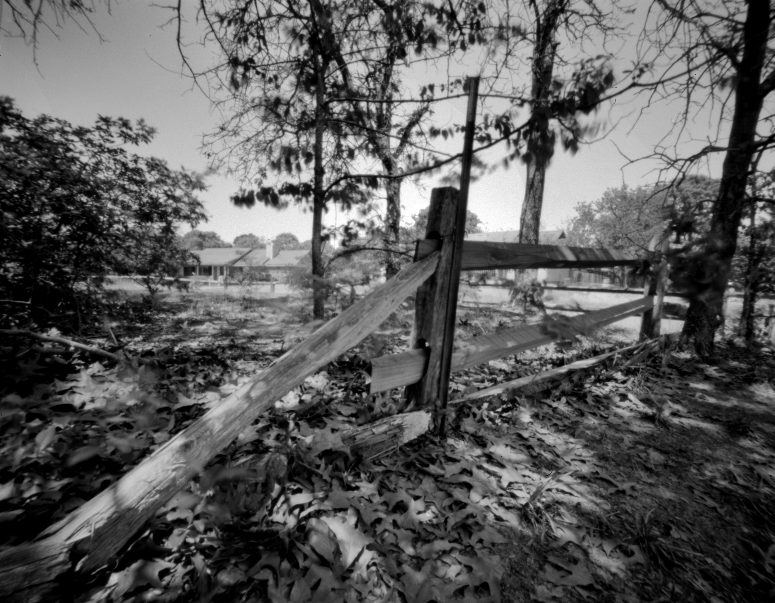 rail fence | Delta 100 , 4x5 lensless camera co