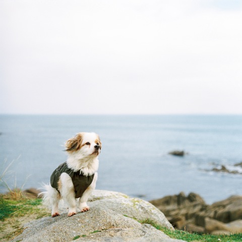 Our Retired Explorer | Fuji 400H | Pentacon Six 80mm 