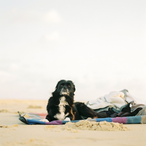 Huh? | Portra 800 | RZ67 110mm