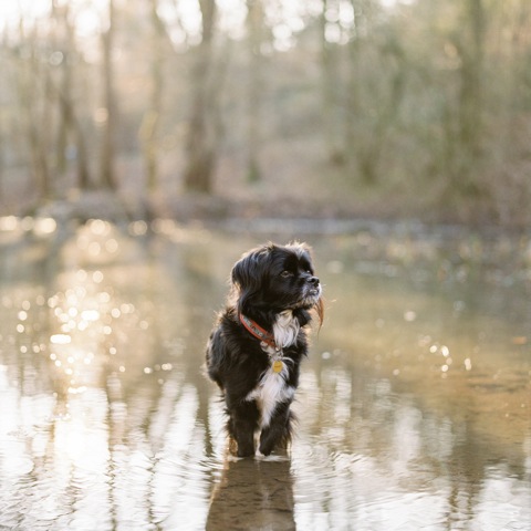  I Must Have Lost My Wallet Right Around Here | Fuji 400h | RZ67 110mm