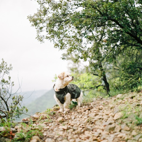Our Retired Explorer – Revisited | Portra 800 | Pentacon Six 80mm 