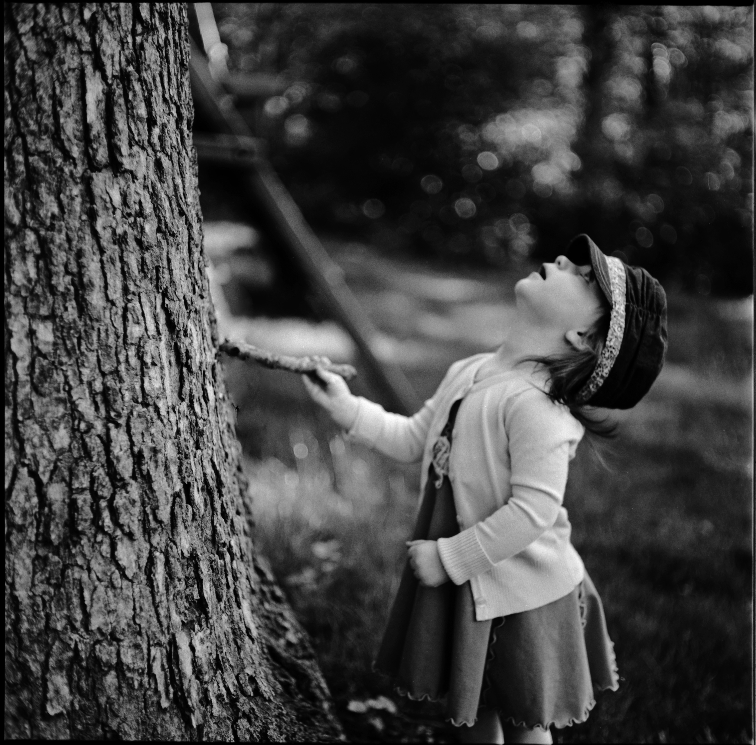Bewildered by Wood | Mamiya C220 Kodak TMX | Ellen Goodman