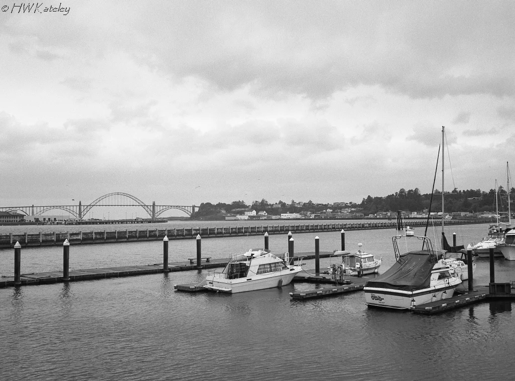 Coastal Marina – Kodak Tri-X