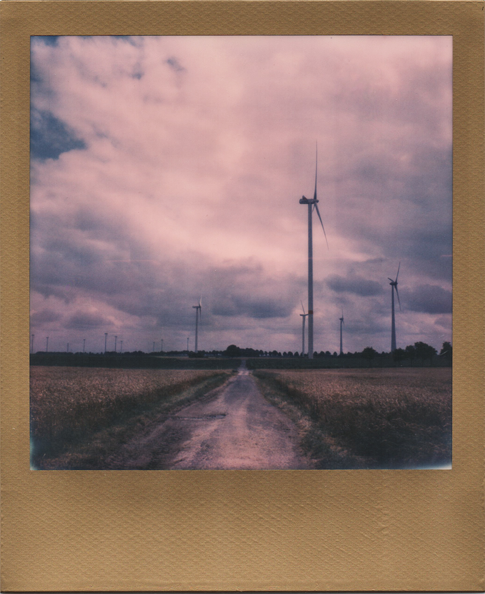 : Blowing in The Wind | SX70 | Expired Impossible Prioject Gold Frame Film | Karin Claus