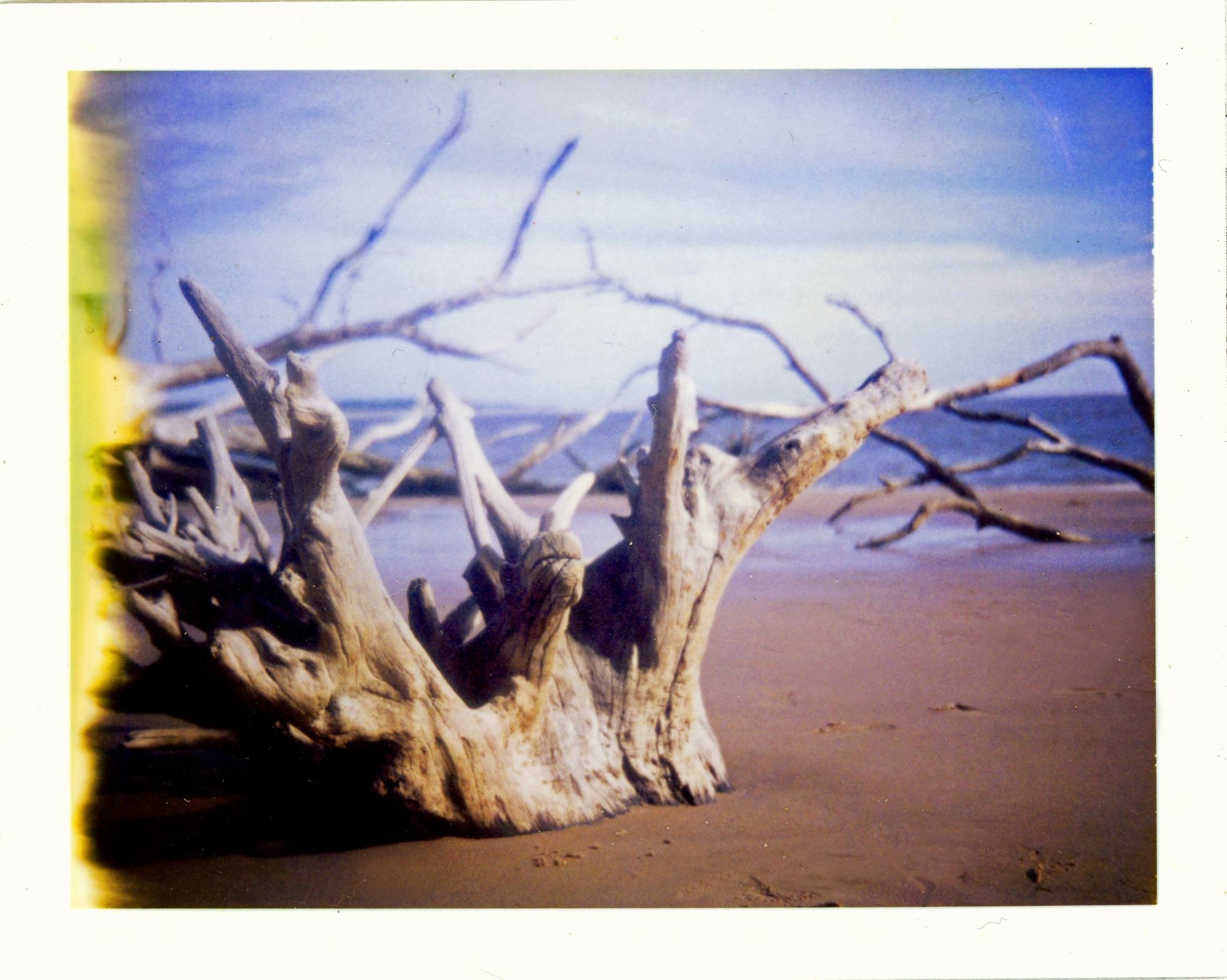 Crown of The Sea | Polaroid Color Pack 3 | Polaroid 690 Film | Aimee Lower
