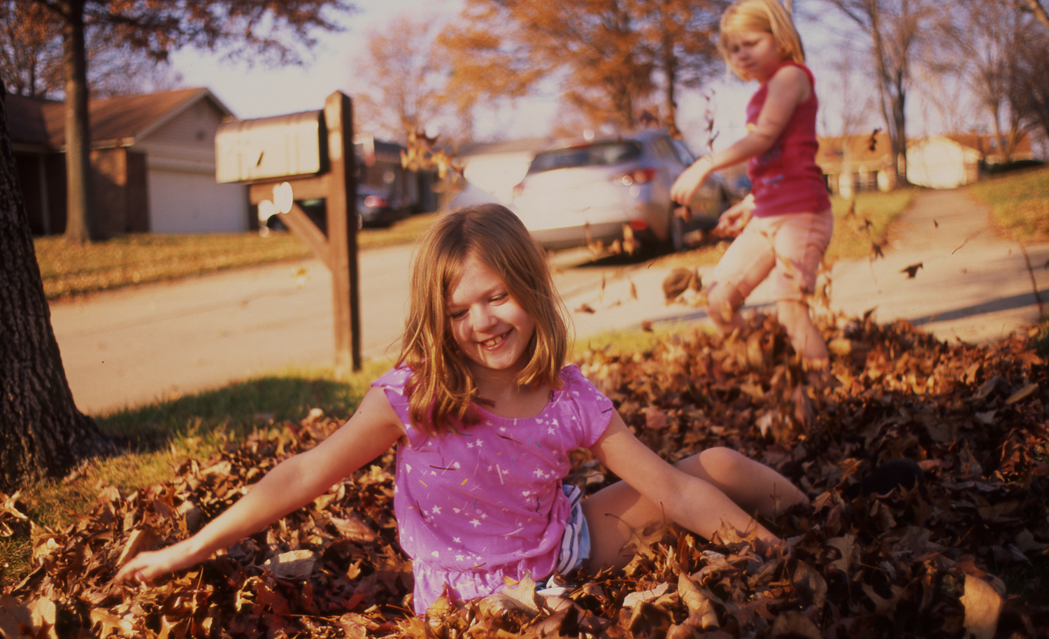 LeafPile_EOS650_ZeissFlektogon35mm_Velvia_BradLechner2.4.jpg