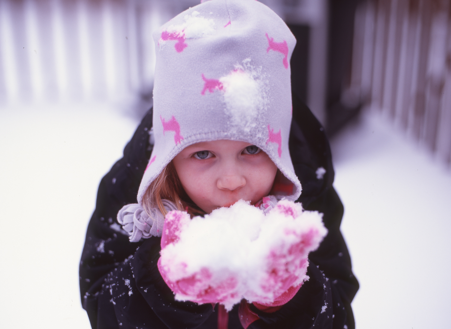 SnowDay_Mamiya645_80mm1.9_Velvia_BradLechner.jpg