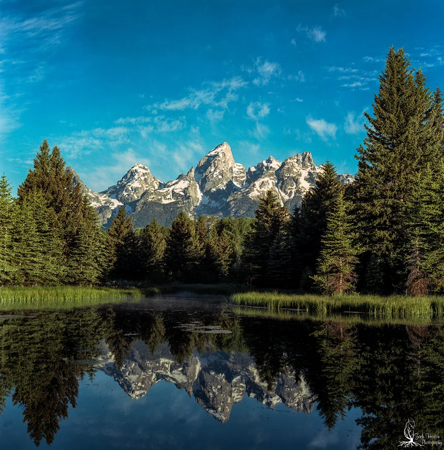 Schwabacher Landing| Mamiya C3 | Really Right Stuff | Ektar100/120 F16-1\15 Under exposed 1/3 of a stop from my meter. 