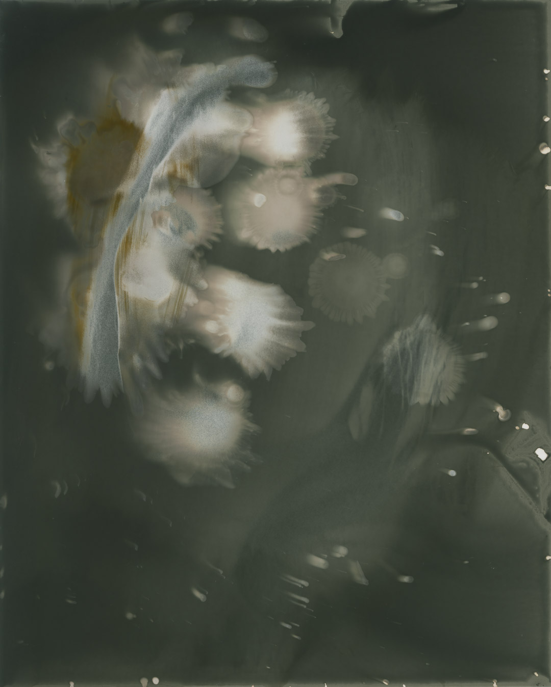 The Apparition | Leica M4 | TriX | Ralph Whitehead