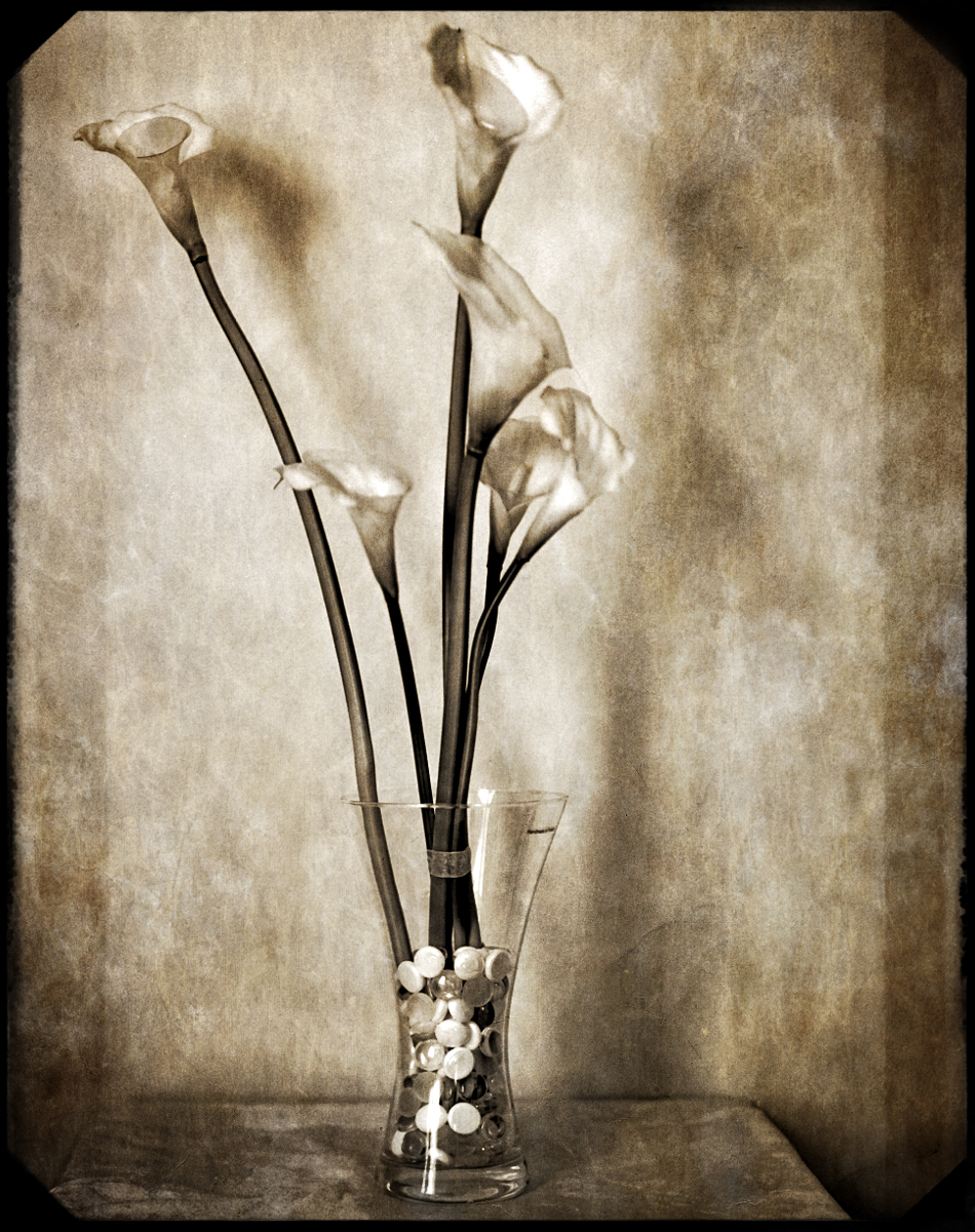 Bobby Kulik | Flowers | B&J 4x5