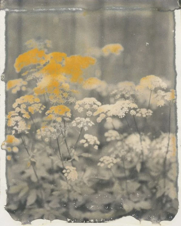 Gold by Meredith Wilson https://www.instagram.com/p/BLxzqTJjLW3/ 
