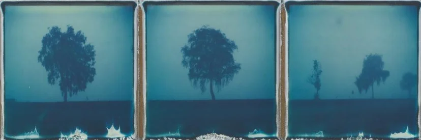misty morning in blue by Ina Echternach https://www.instagram.com/p/BLvvCQmBxTj/ 