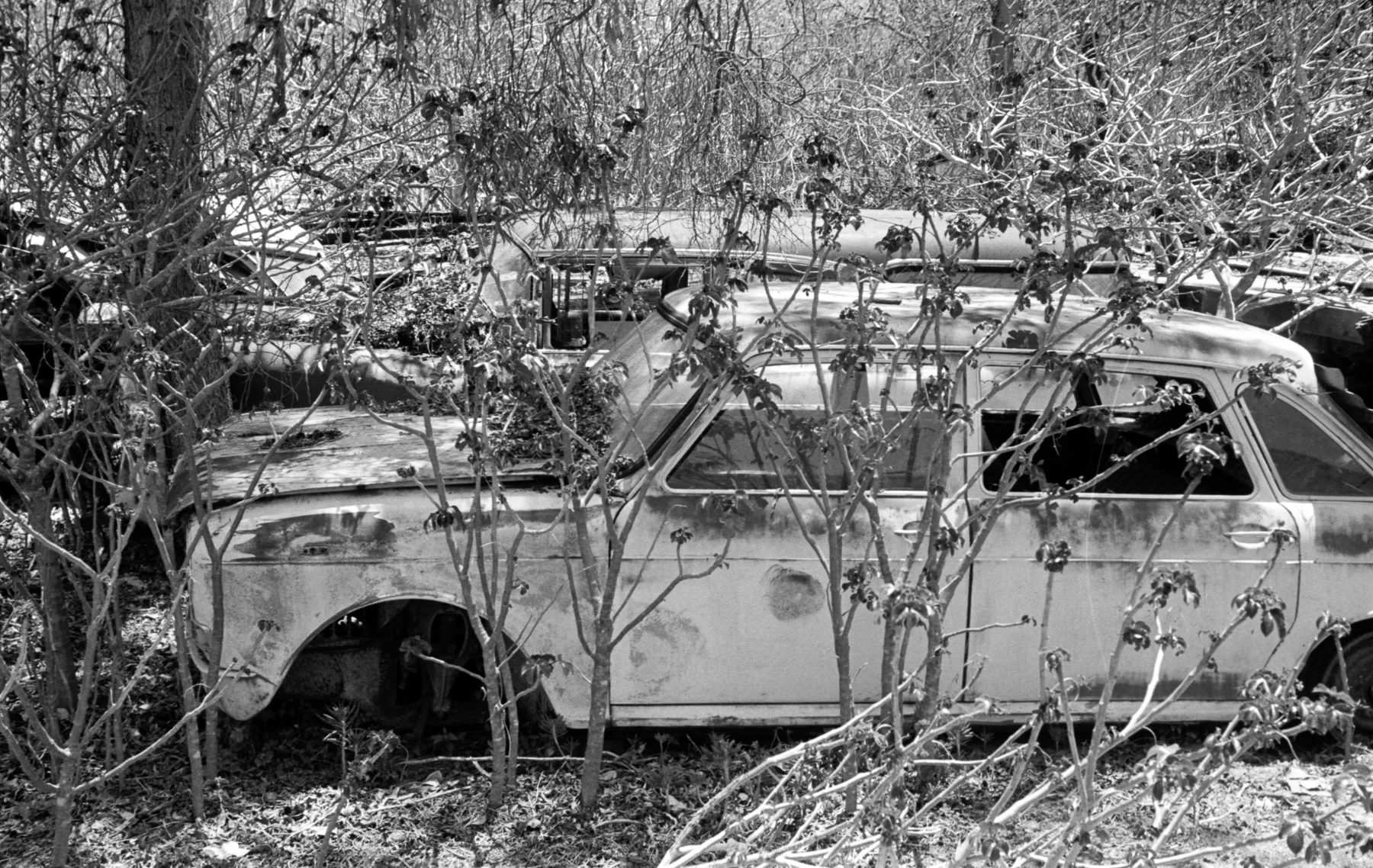 Wreck