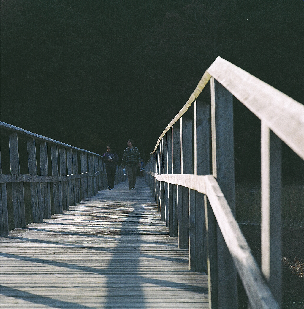 Roosevelt Walk | Mamiya 6 | Portra 400 | Carolyn Karsten