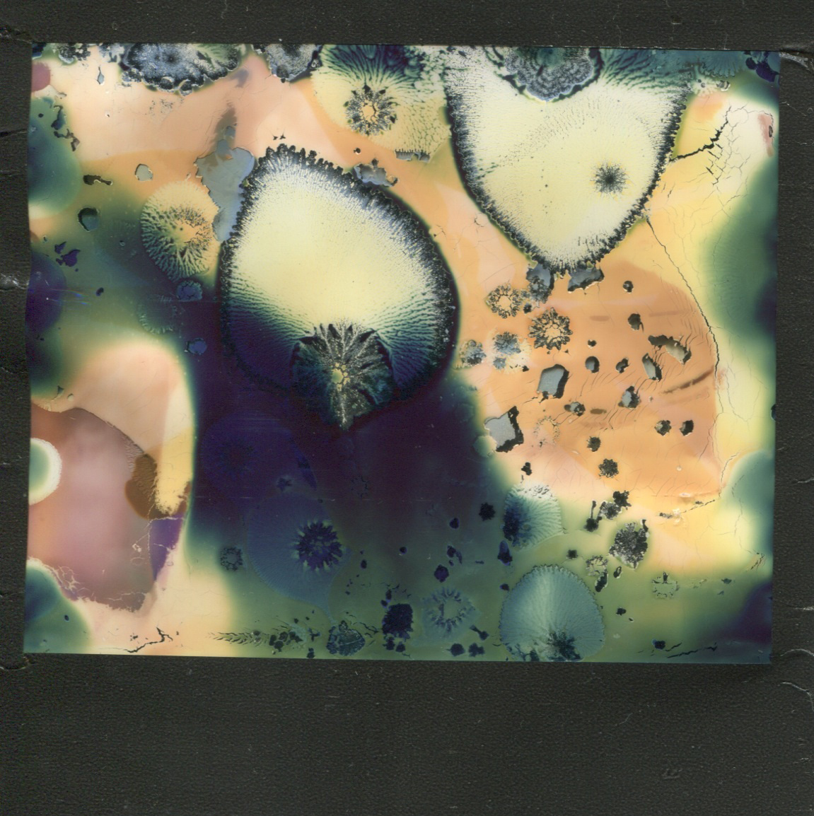 Cellular | Polaroid Spectra | Impossible Project Spectra Color | Destroyed | Lucinda Nicholas | @finnicle1