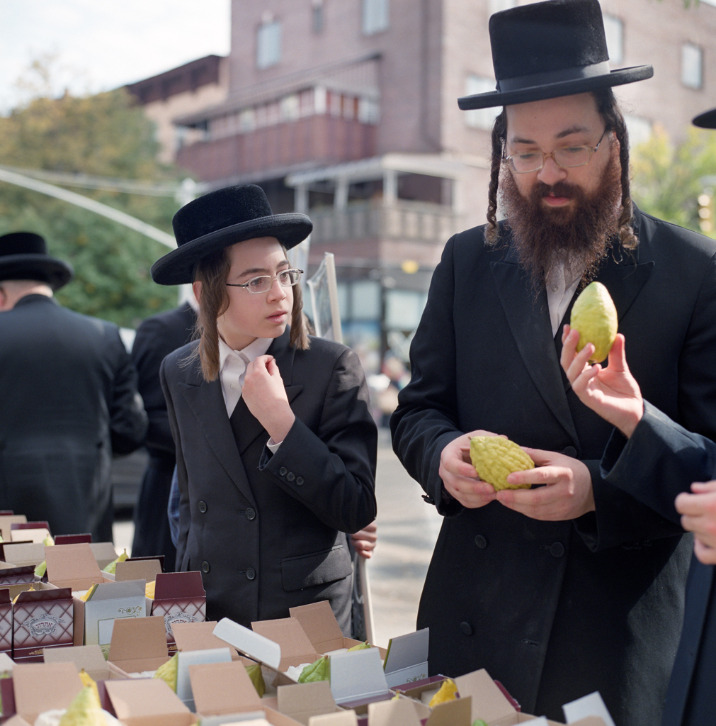 Shopping for Etrogs for the Sukkot Jewish Holiday in Williamsburg Brooklyn | Hassy 503cw | 80mmPlanar | Fuji Pro 400H | Adam Miller