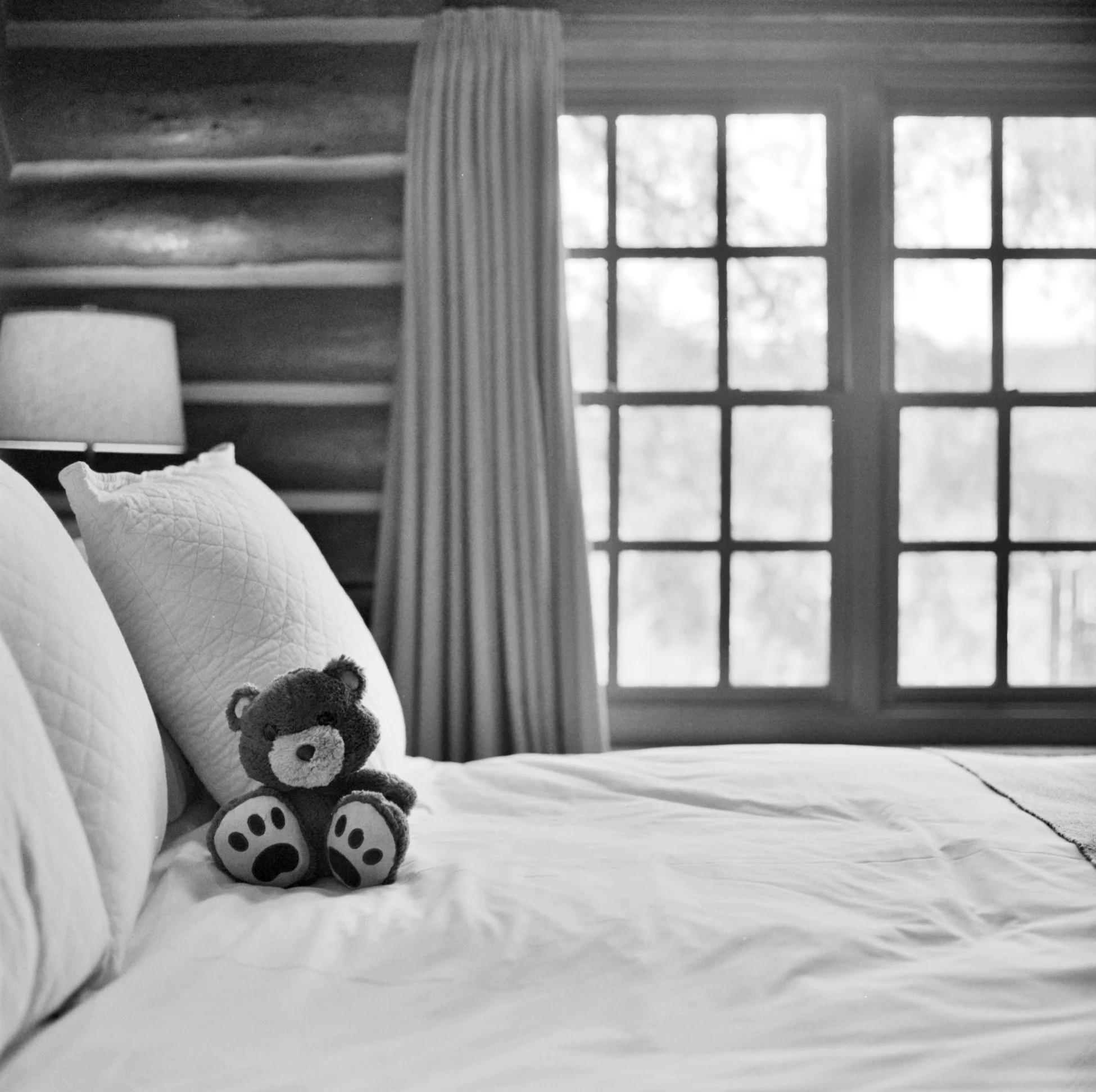 Traveling Teddy, Big Cedar 2015 | Hasselblad 500 CM | Ilford HP5+ | Ellen Goodman