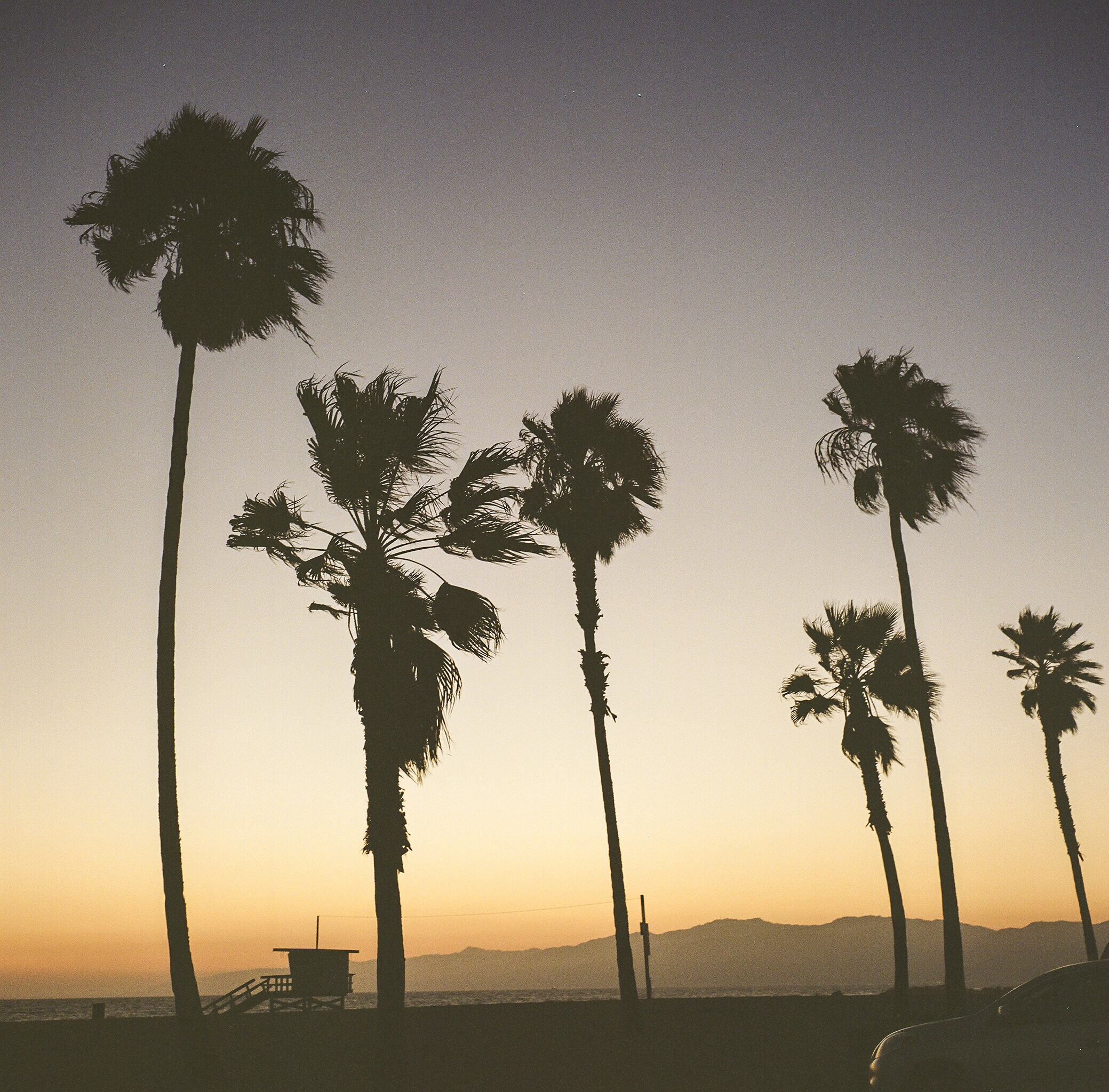 Venice Beach | Rolleiflex 3.5 Planar | Portra 400 | Tony Klimas