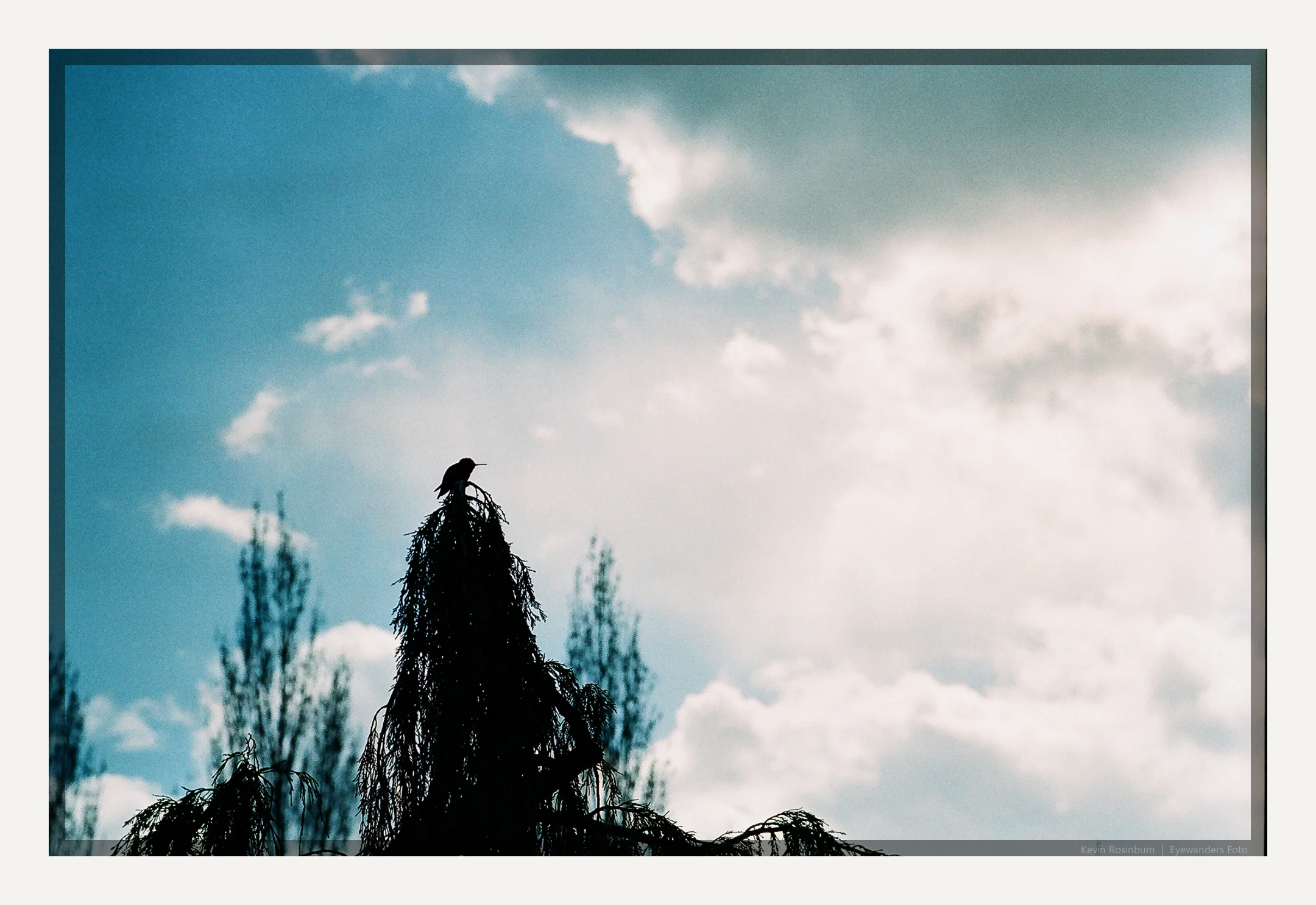 FSC_WebProfile_KevinRosinbum (6).JPG