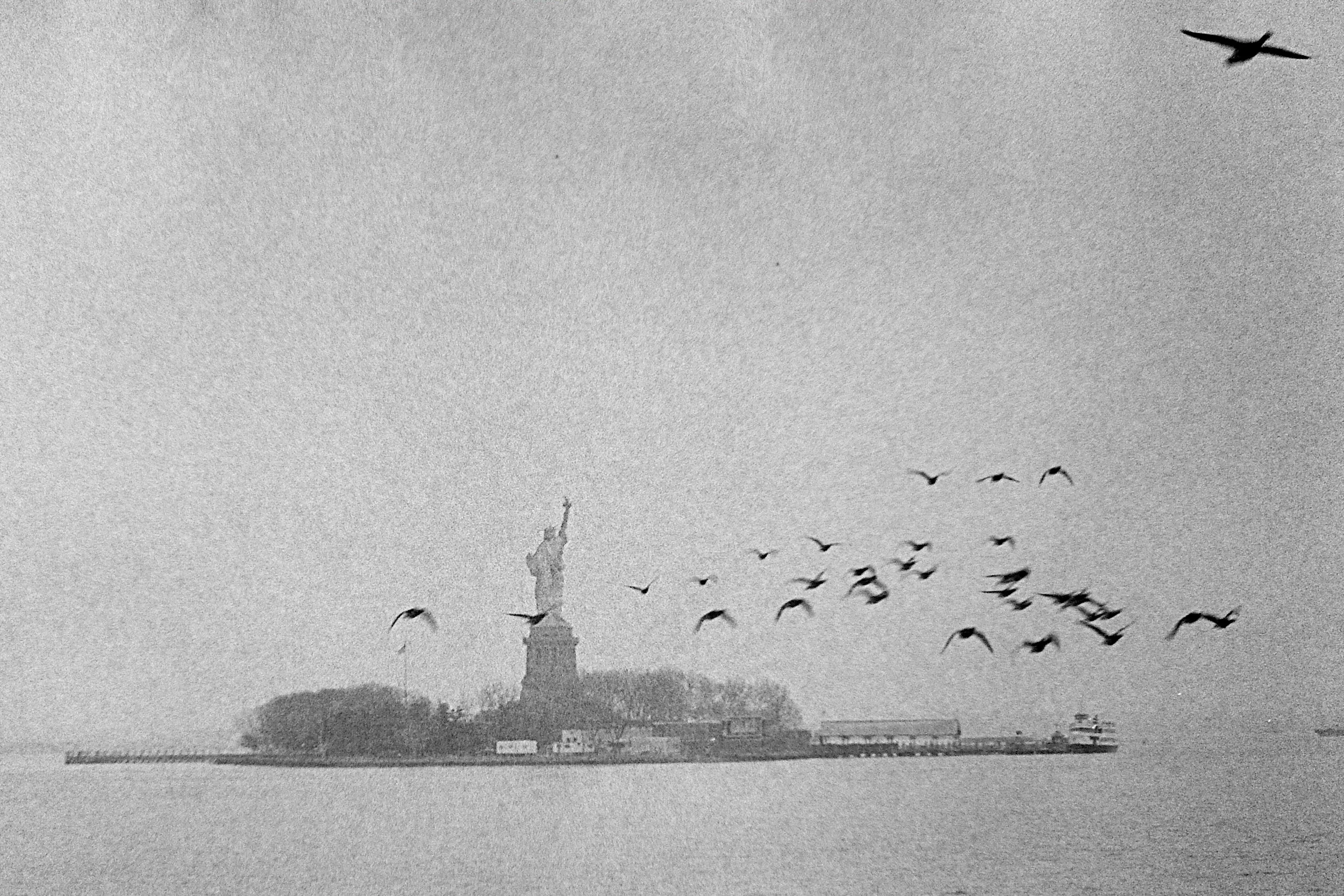 Winter | Leica MP | 50 Cron | Pushed Tri-X | Tony Klimas
