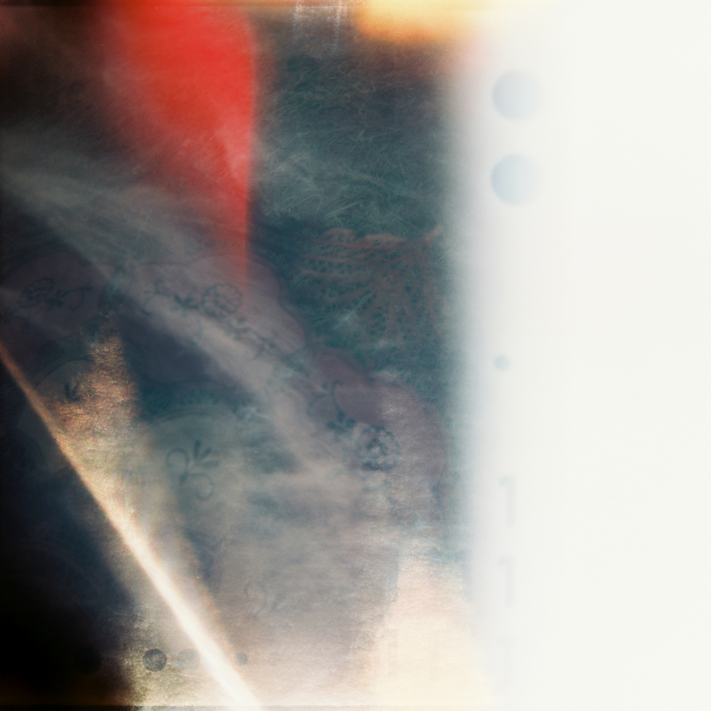 To Feel Again | Holga | Portra 160VC | Danielle Beck