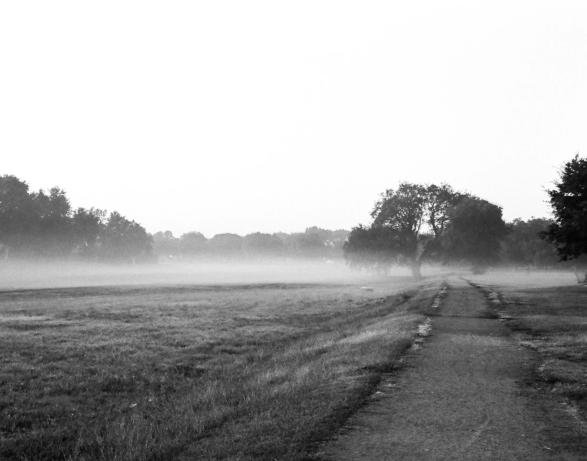 morning mist | Chris Ullrich