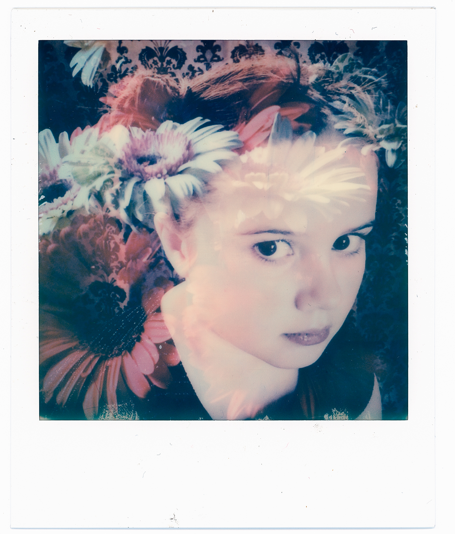 I Am No Bird | Impossible Instant Lab | Impossible Color | Ruby Falls