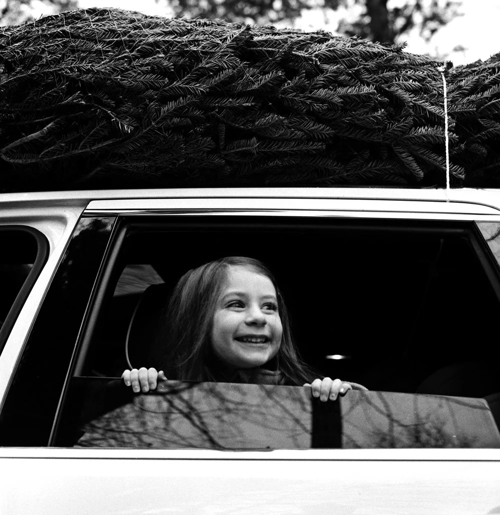 Bringing+Home+the+Tree_Hasselblad+500+CM_Ellen+Goodman+(2).jpg