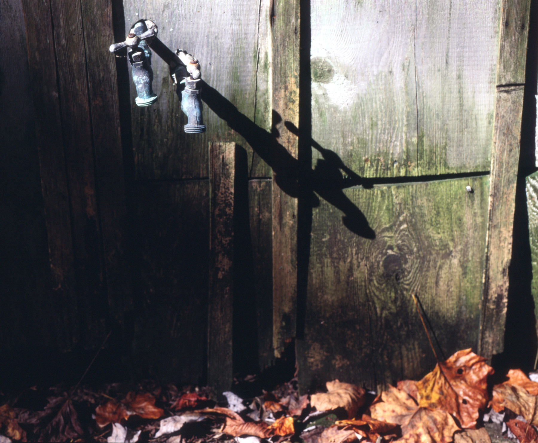 water at the cabi