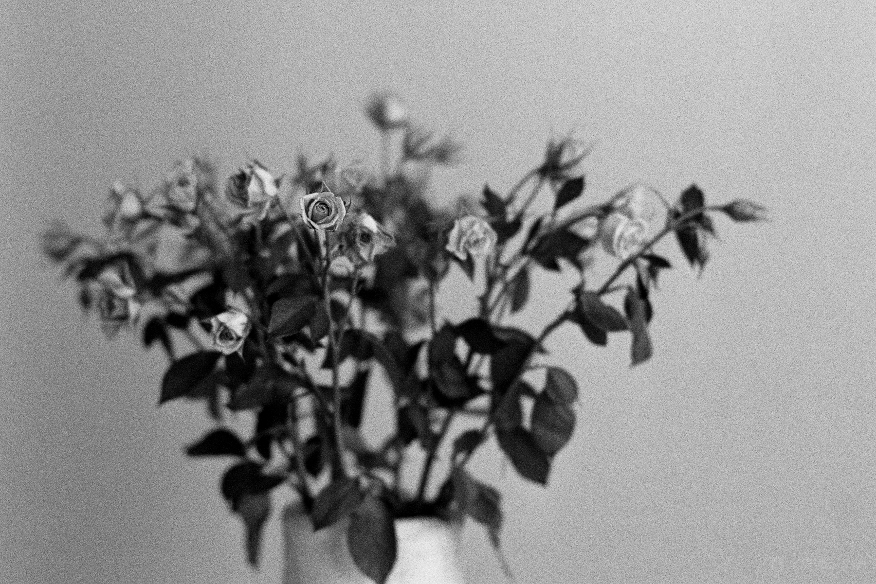Standing out from the Crowd | Voigtländer Bessa R3M | Zeiss 50mm 1.5C Sonnar T* | Kodak T-Max 400