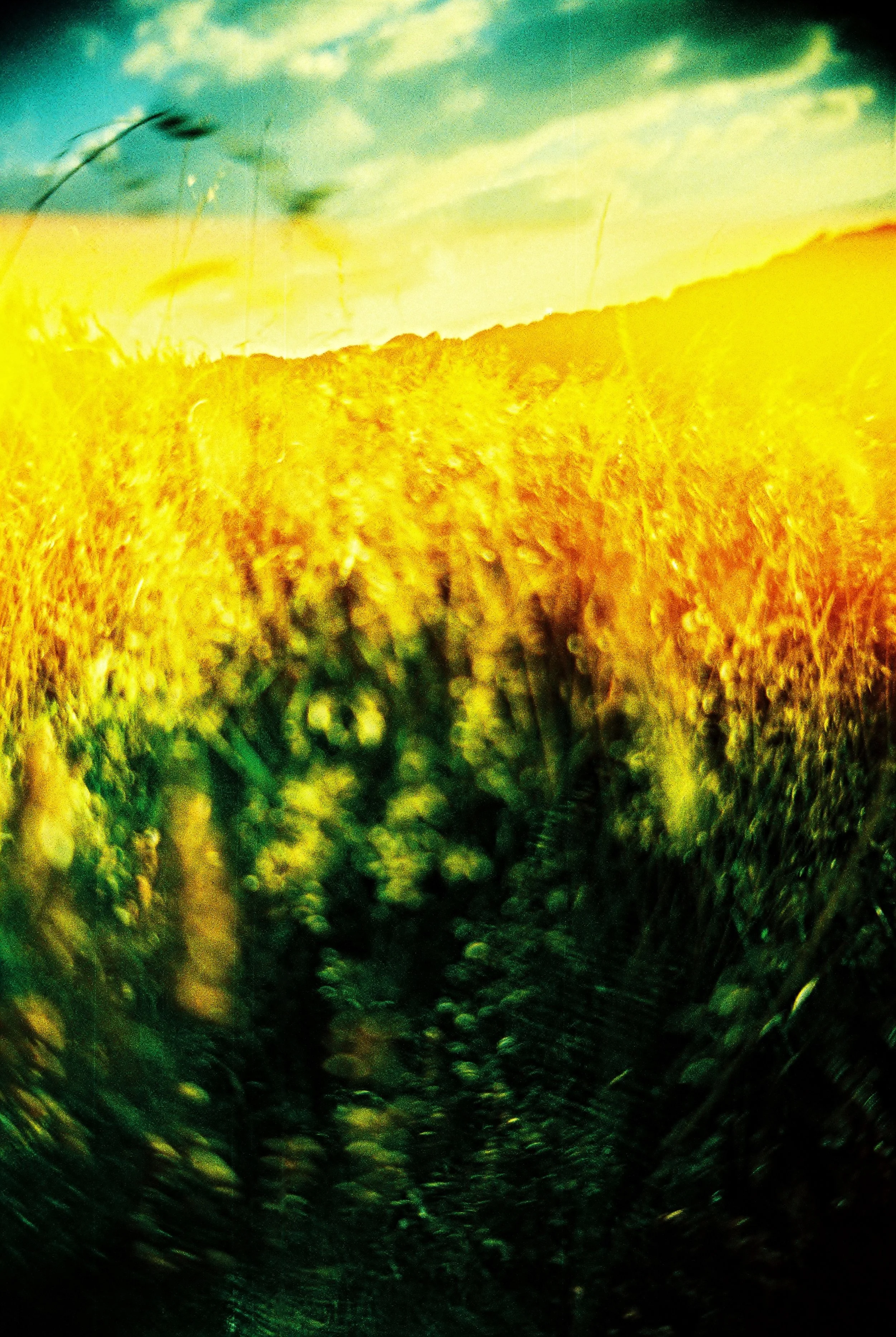 Gakkenflex clone, Provia, xpro