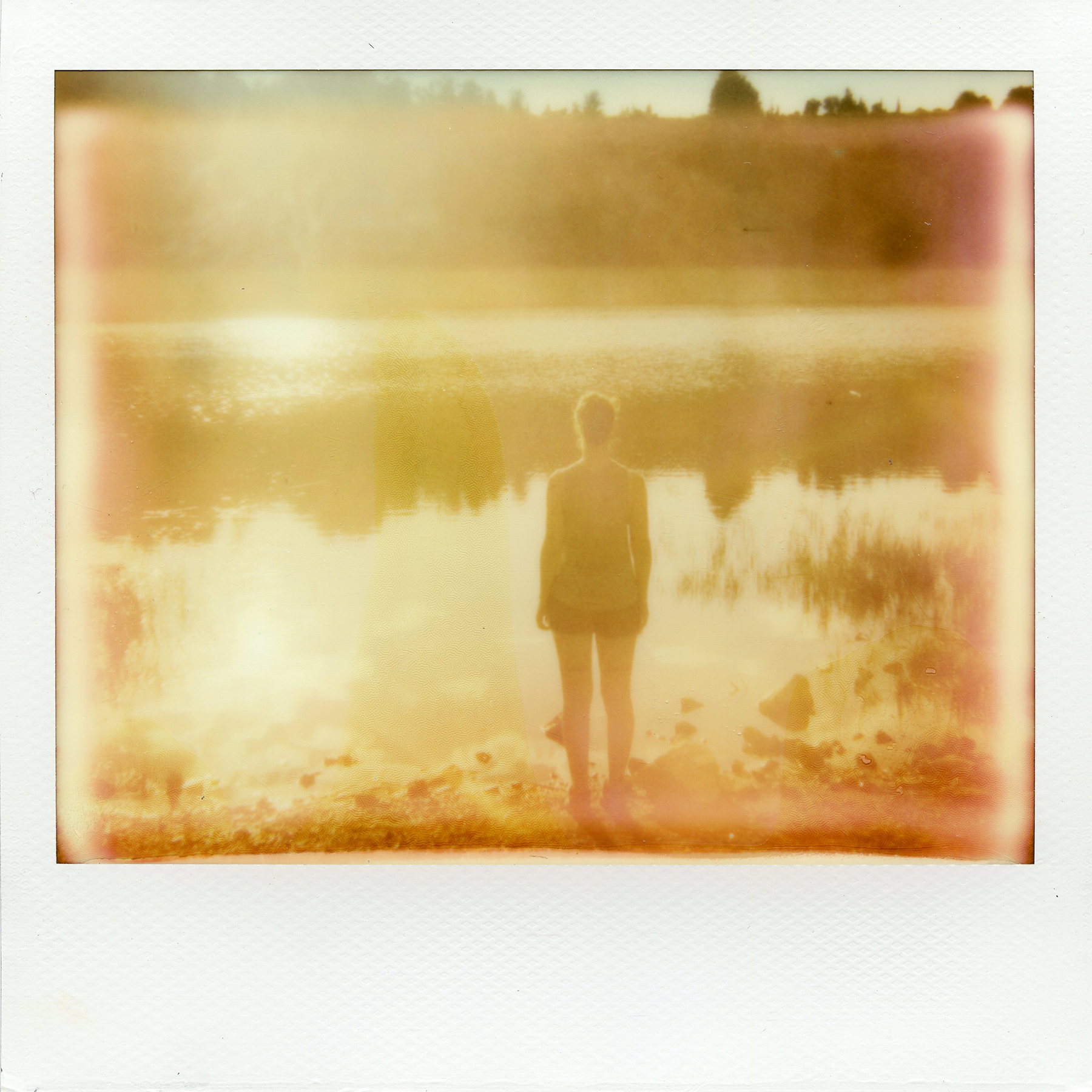 Untitled | Spectra | Impossible Project Spectra Color | La Fille Renne