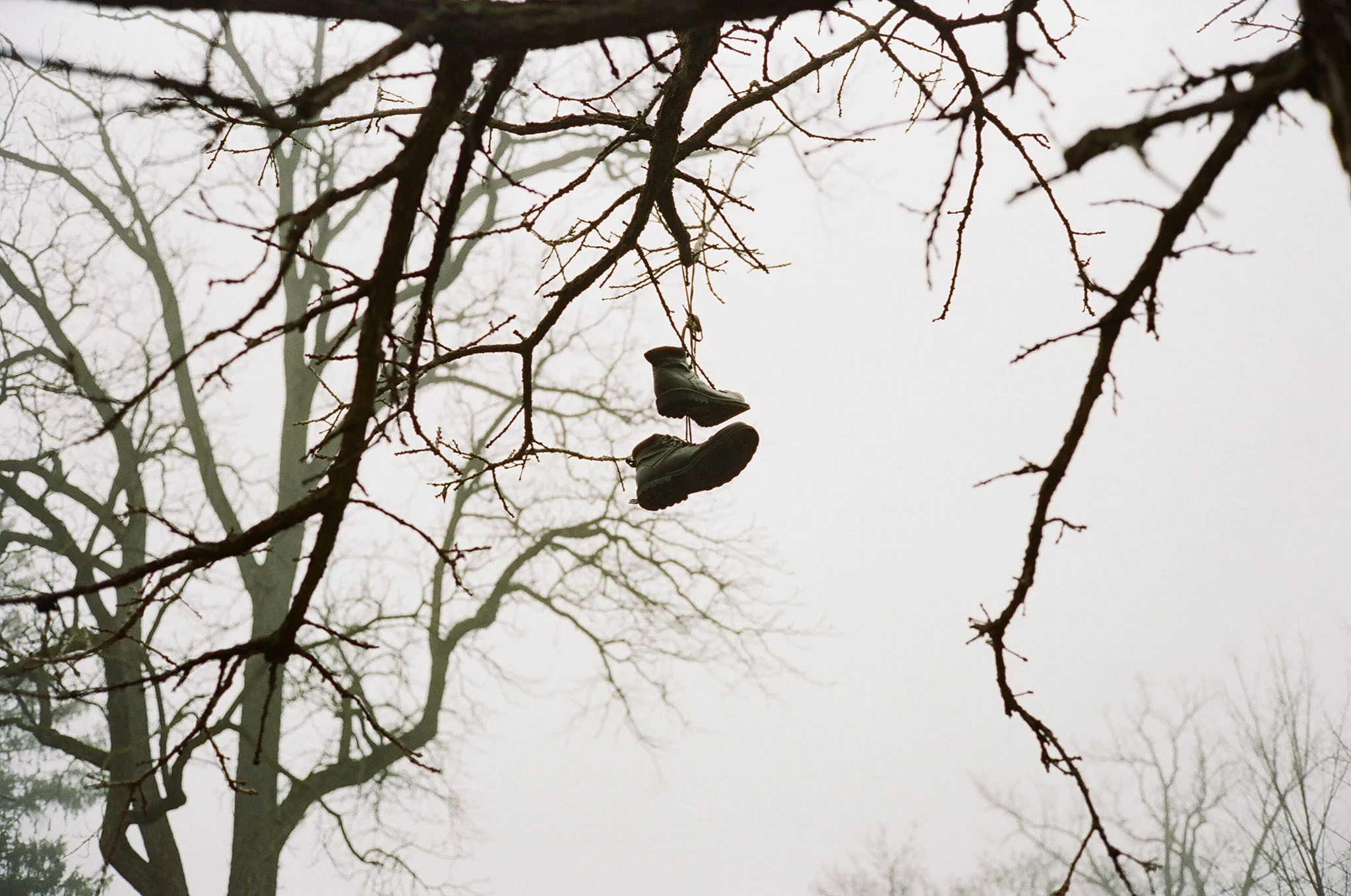 Drew Hoover | Searching for Signs of Spring | Leica CL | Kodak Portra 400