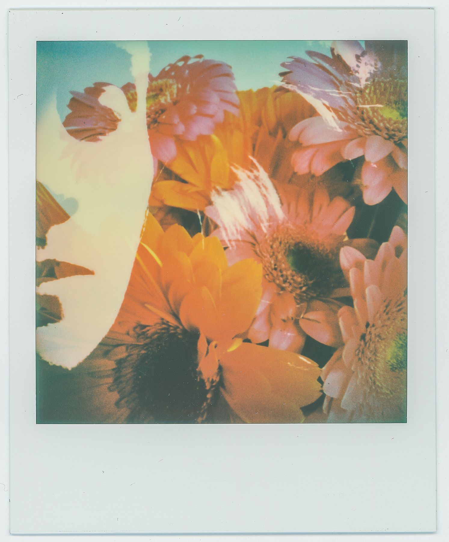 Ruby | When Everything Is New Again | Impossible Project Beta 3