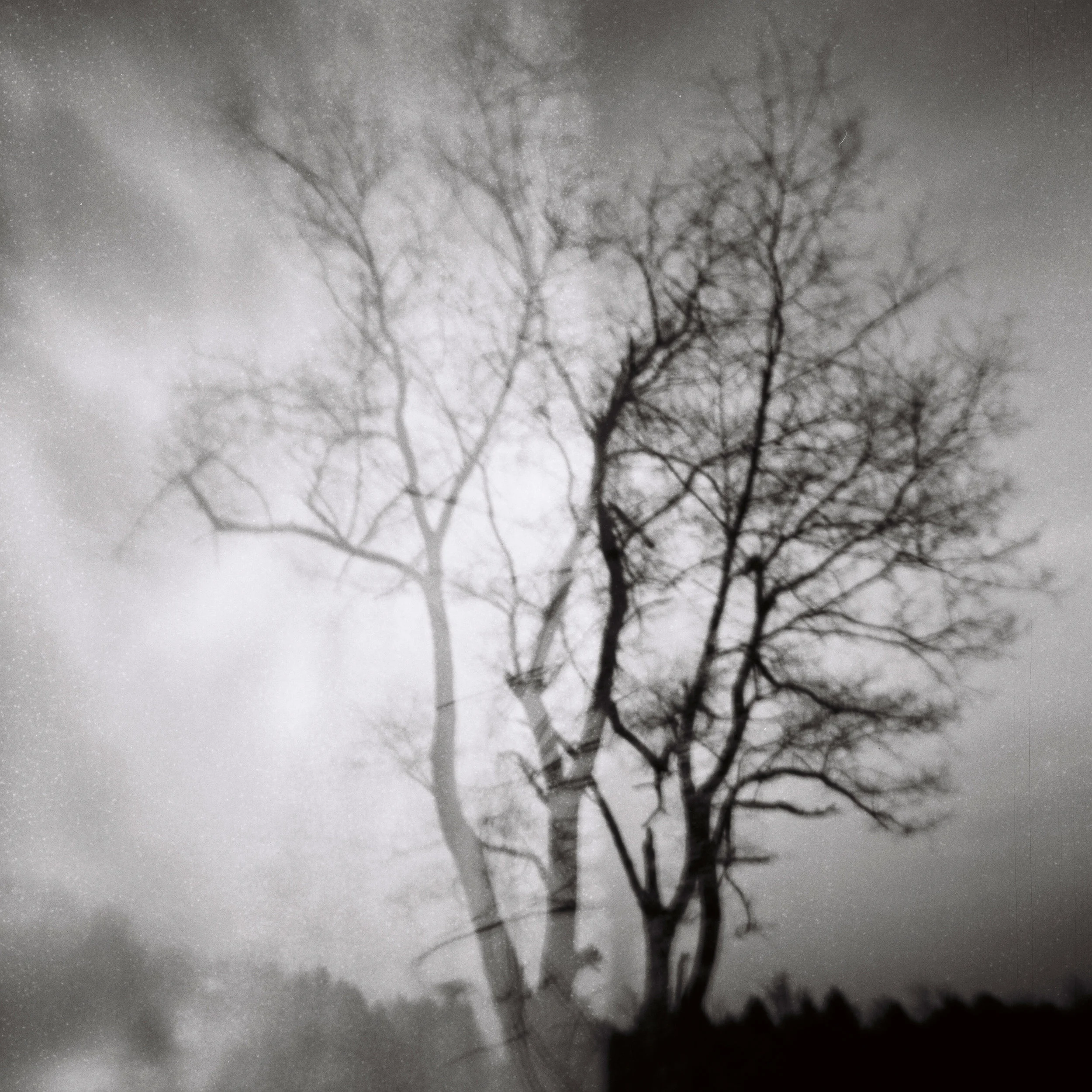 i-prefer-the-world-on-the-left_vermeer-6x6-pinhole-triple-exposure_keith-mendenhall.jpg