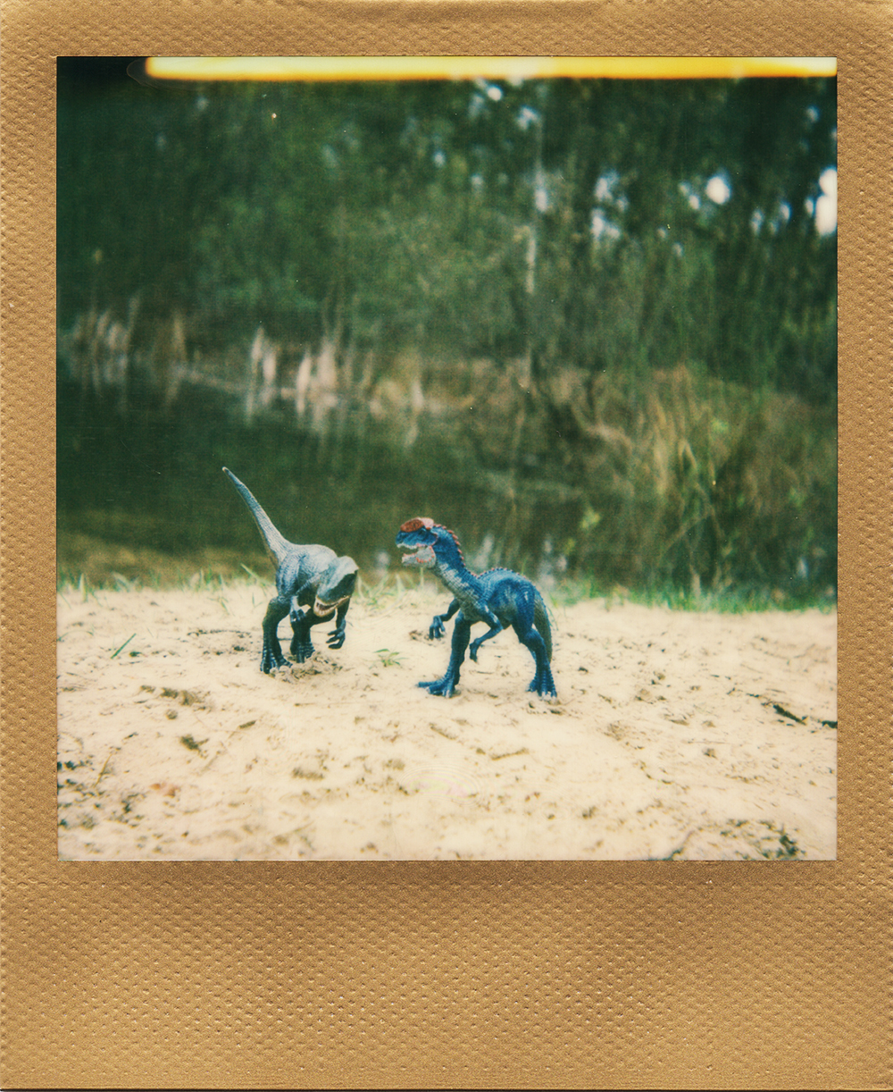 Walking with Dinosaurs | Polaroid 660AF | Impossible Color with Gold Frame | Karin Claus